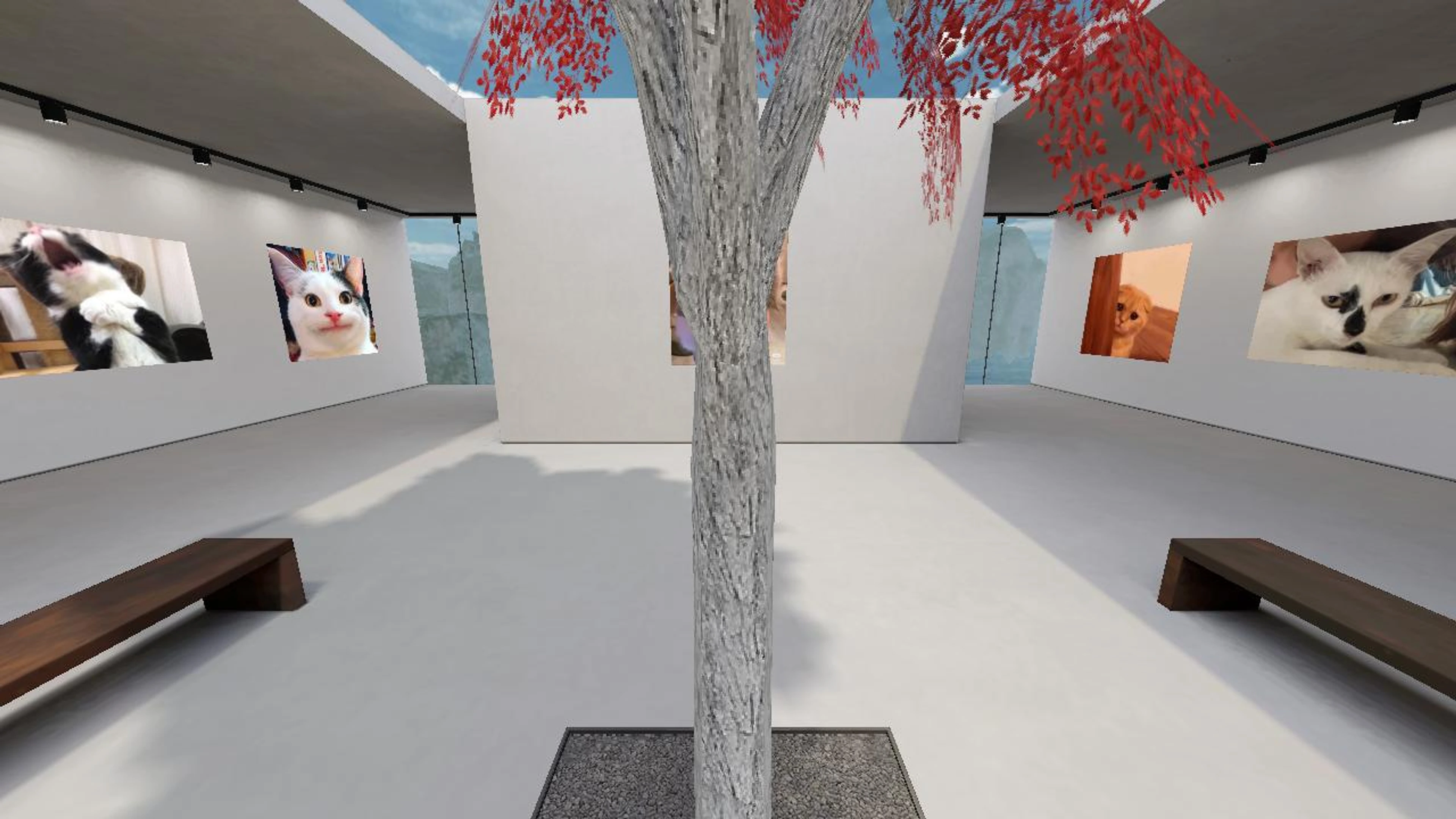 kapi's 3D Space