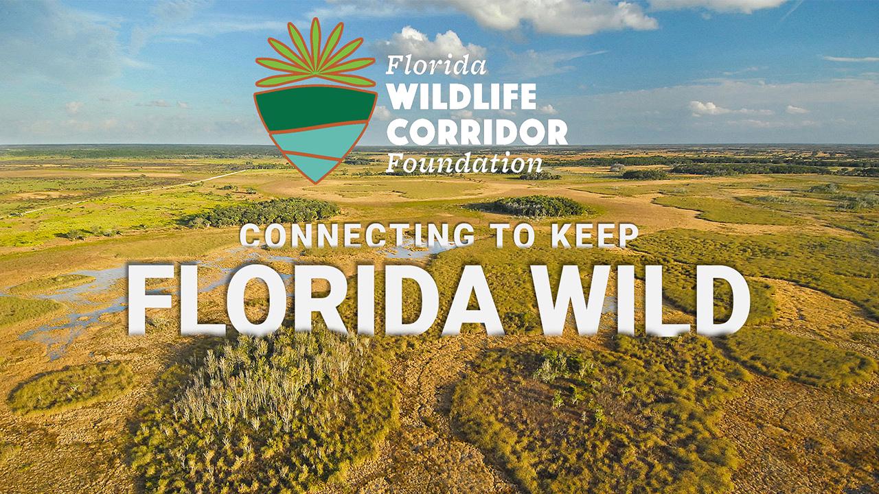 The Florida Wildlife XR Corridor-HOME