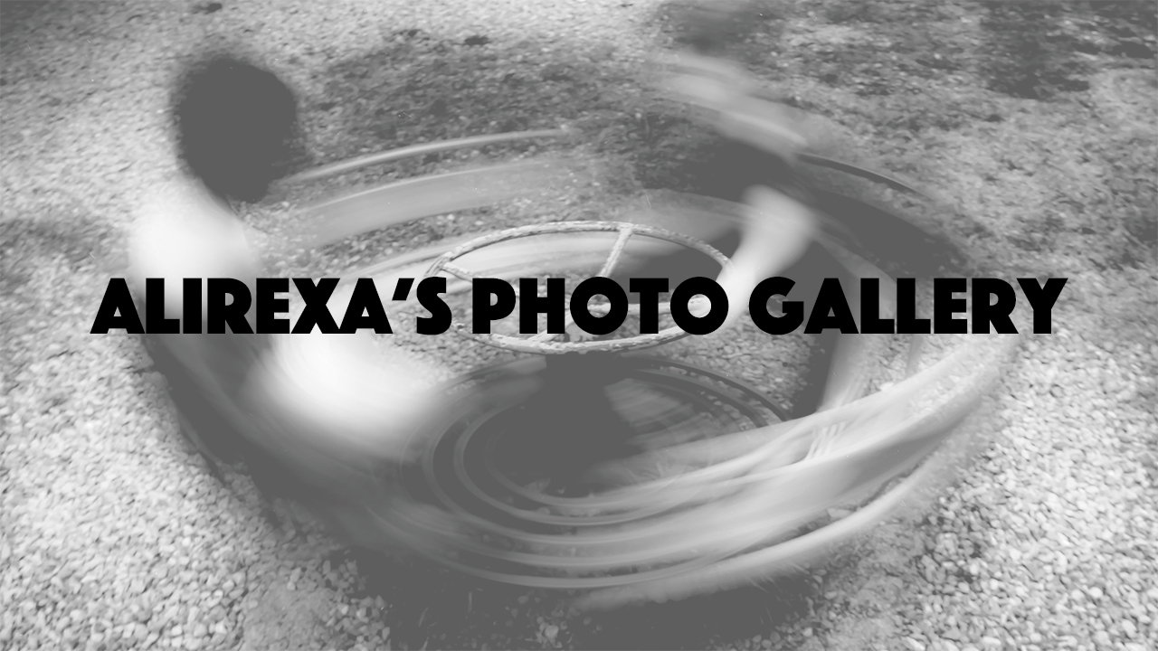Alirexa's Photo Gallery 
