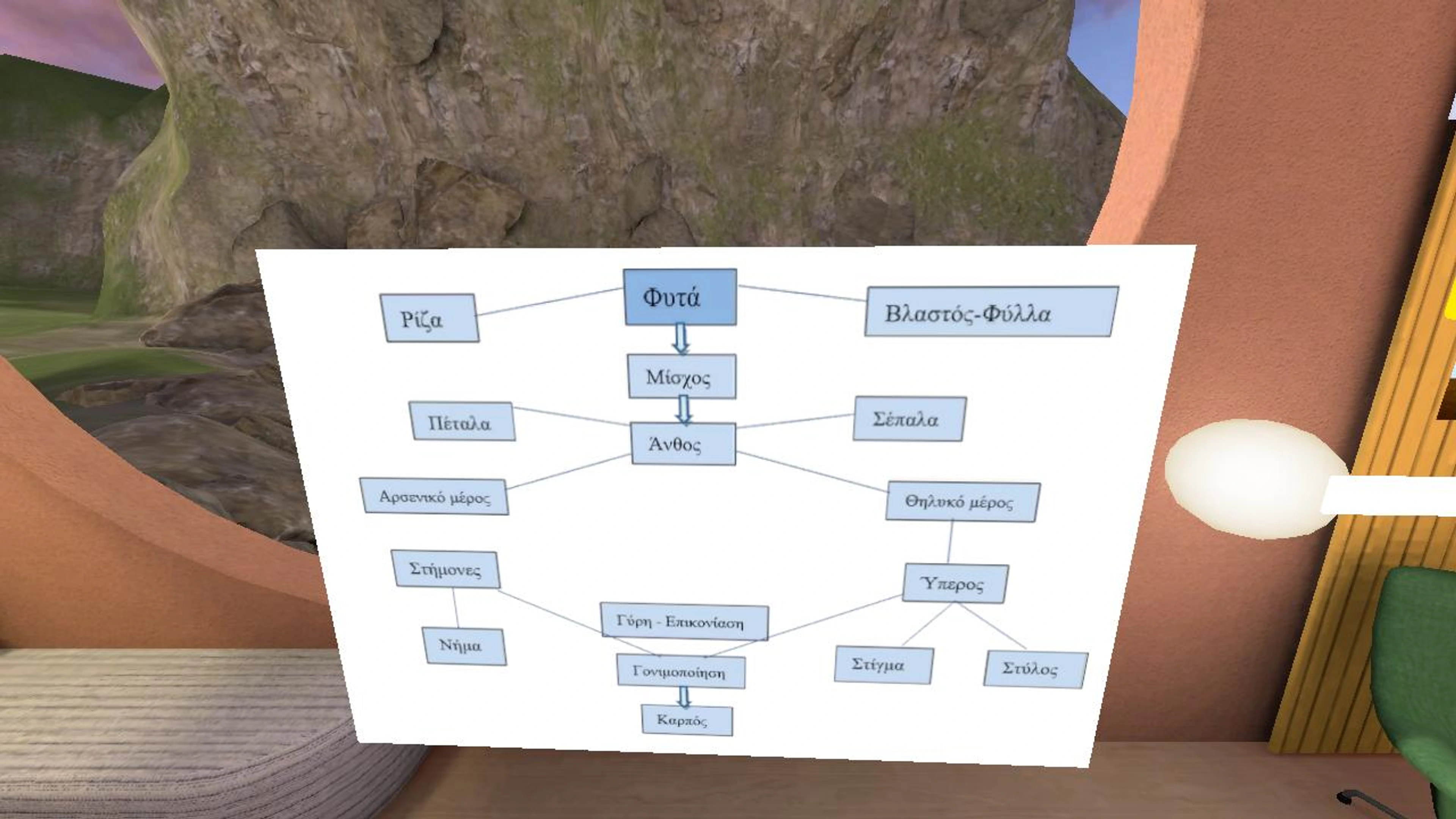 Κύκλος ζωής των φυτών, Άνθος Καρπός, Τζαβέλλα Αγγελική