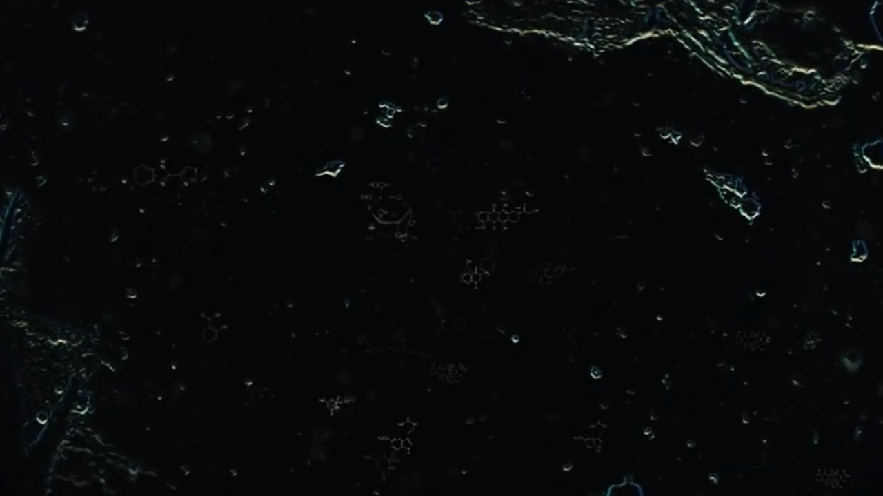 BIOHUB
