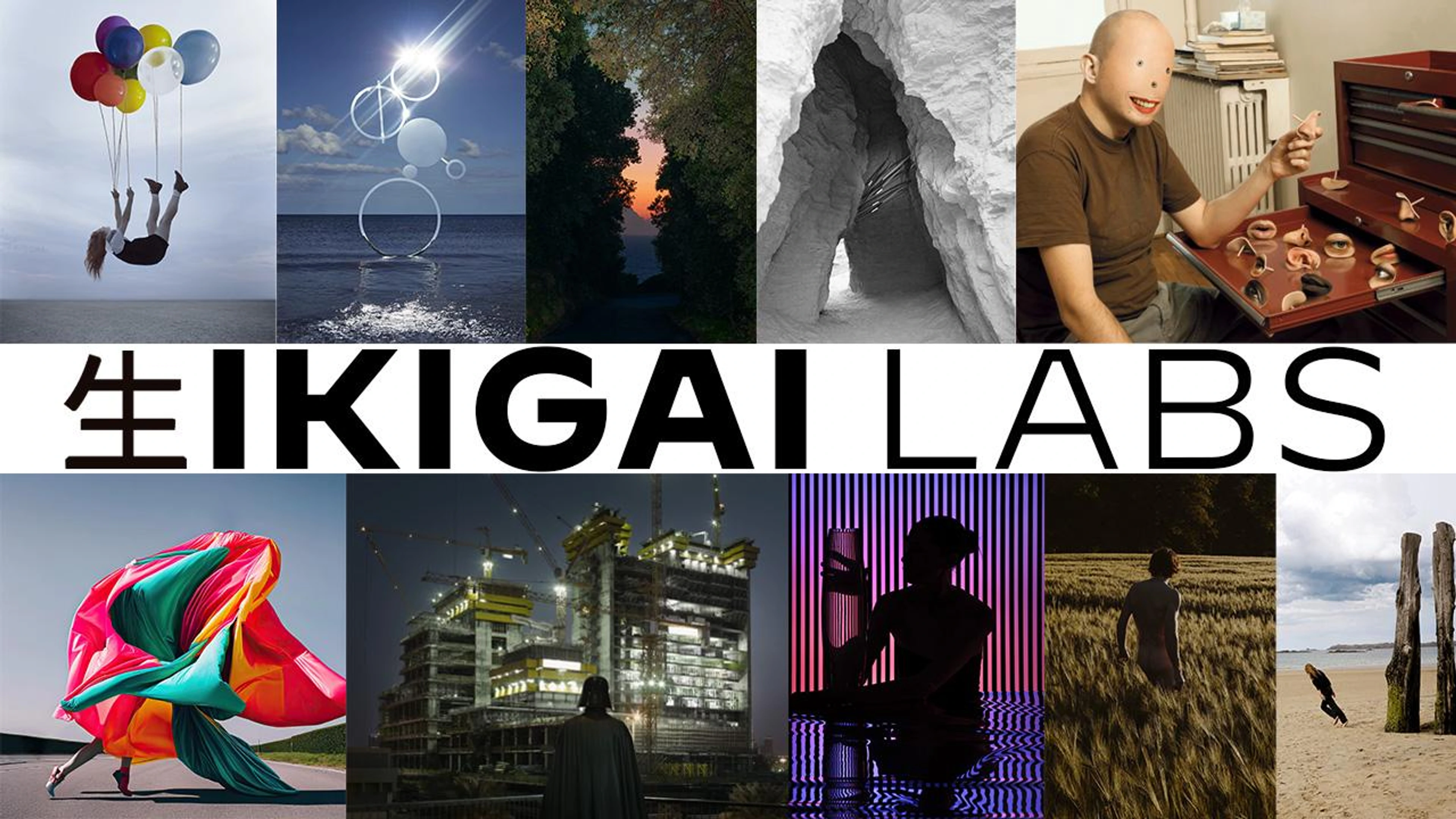 Ikigai Labs Gallery 1