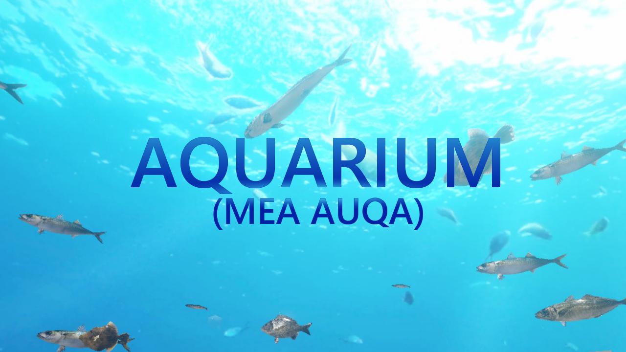 Aquarium(MEA AQUA)