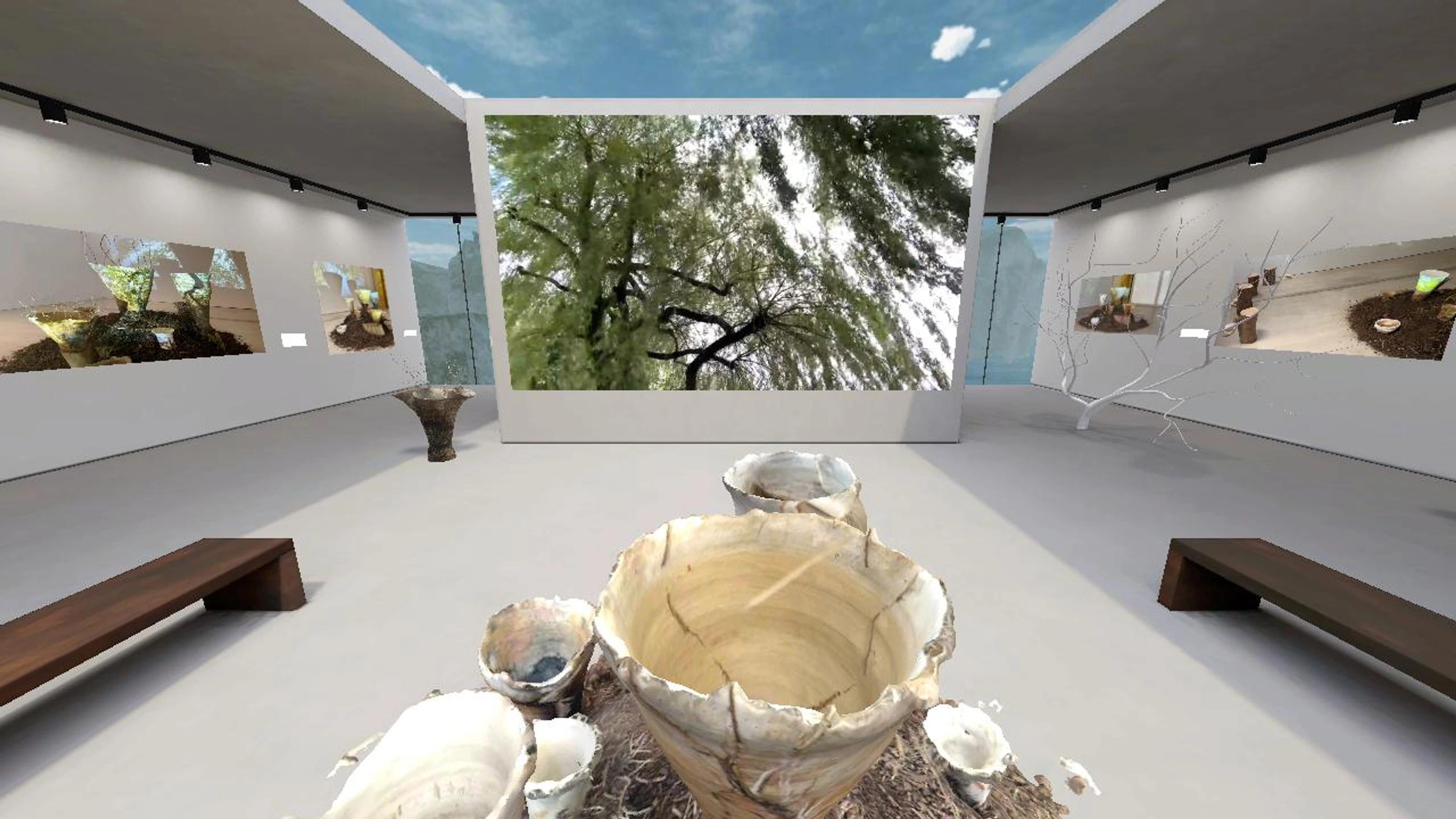 Sonya Wilkins Ceramics