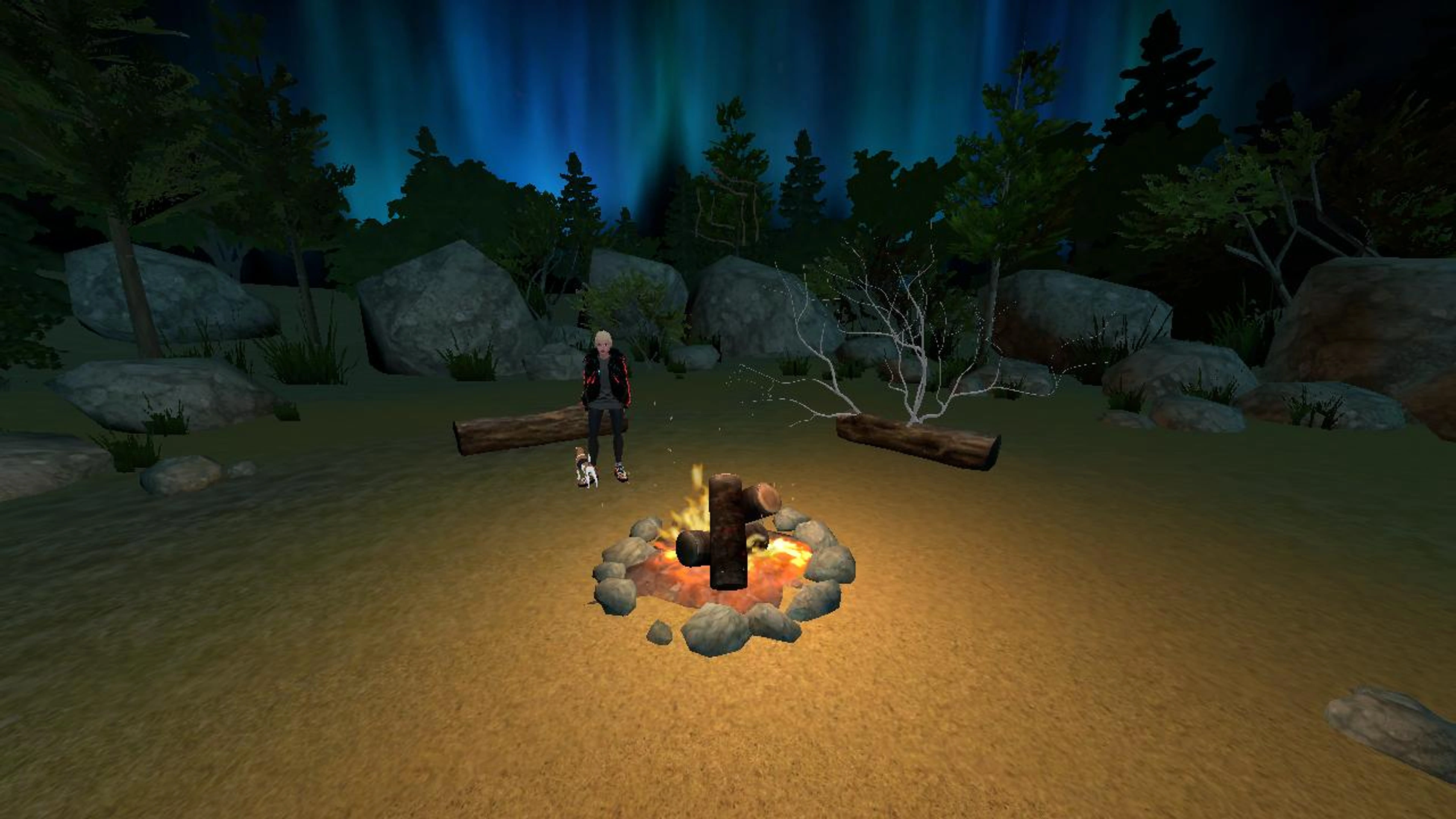Voxel Hub Camp