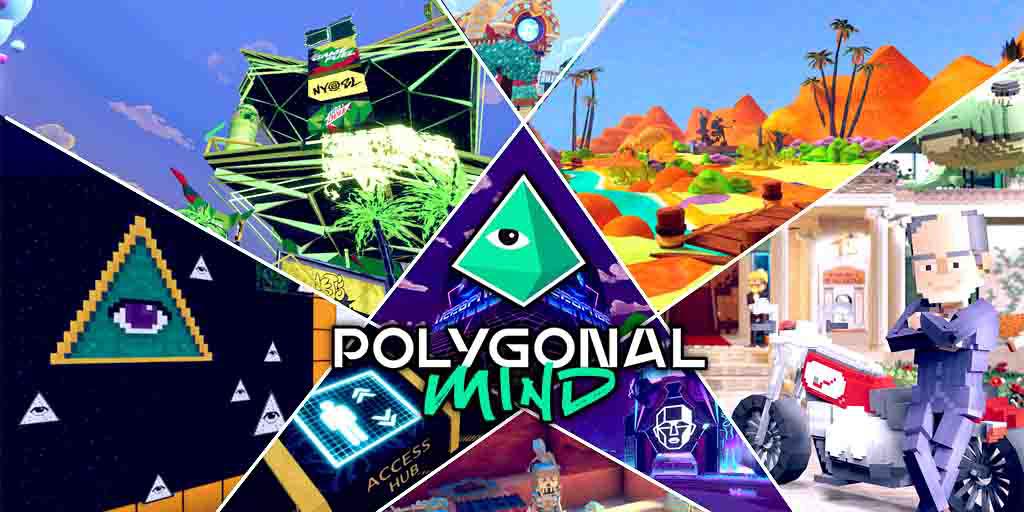The Polygonal Mind Experience