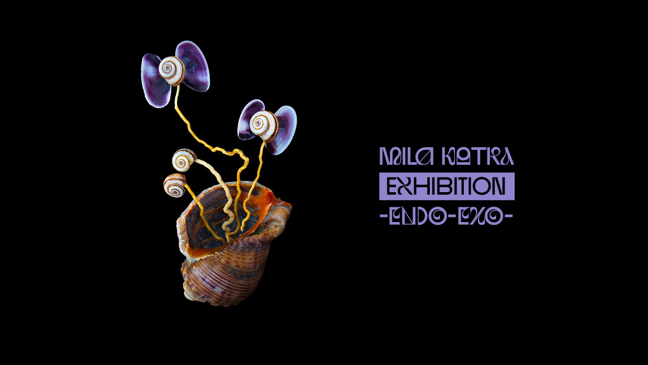 ENDO-EXO Exhibition | Mila Kotka ◉ KOTKAVERSE