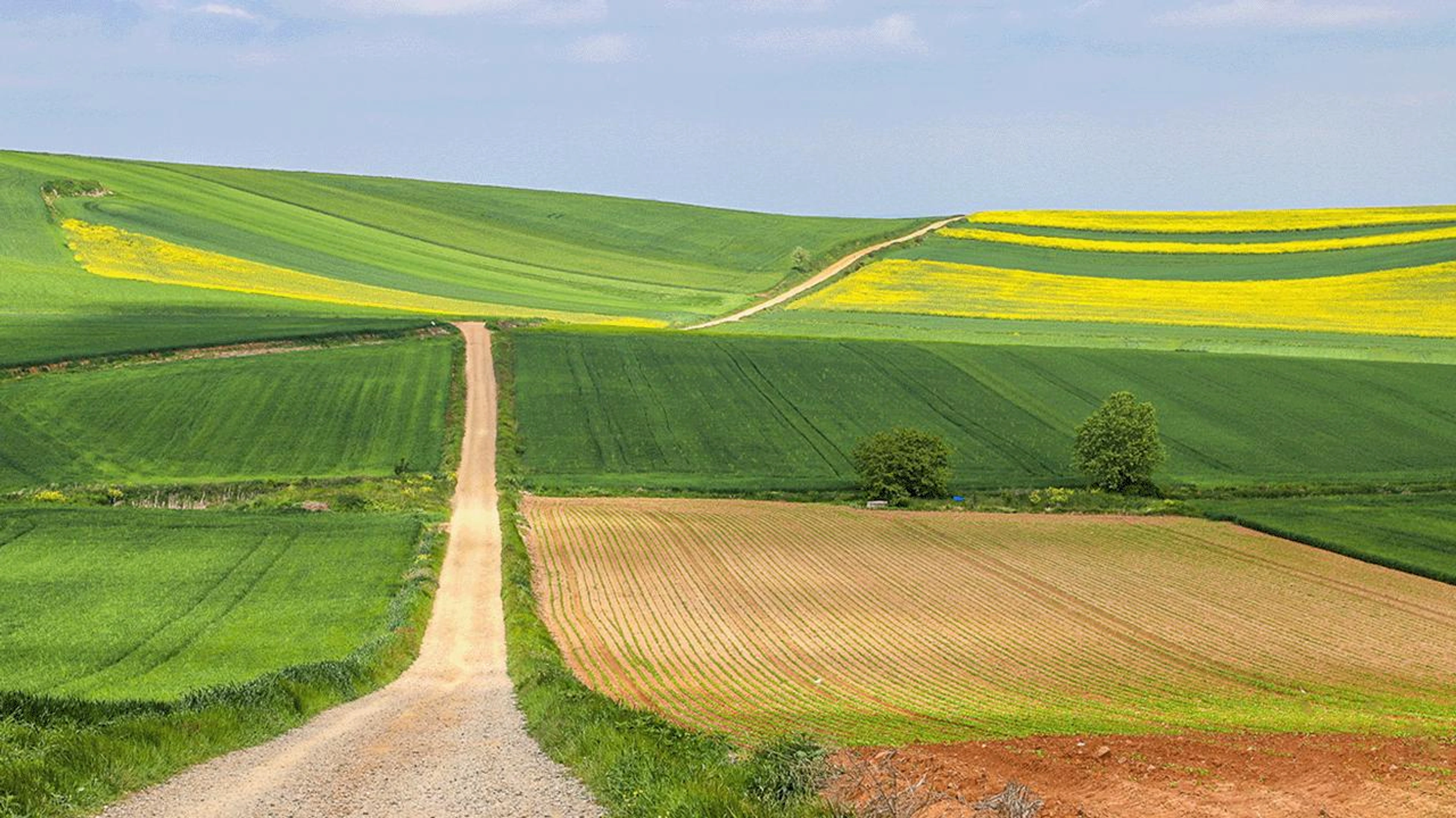 산티아고 여행순례자