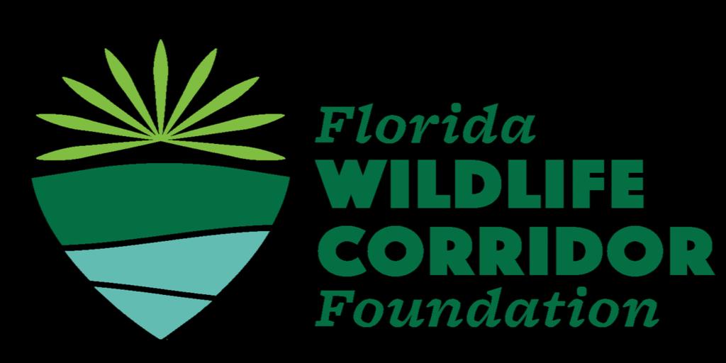 Florida Wildlife Corridor Bear Experience