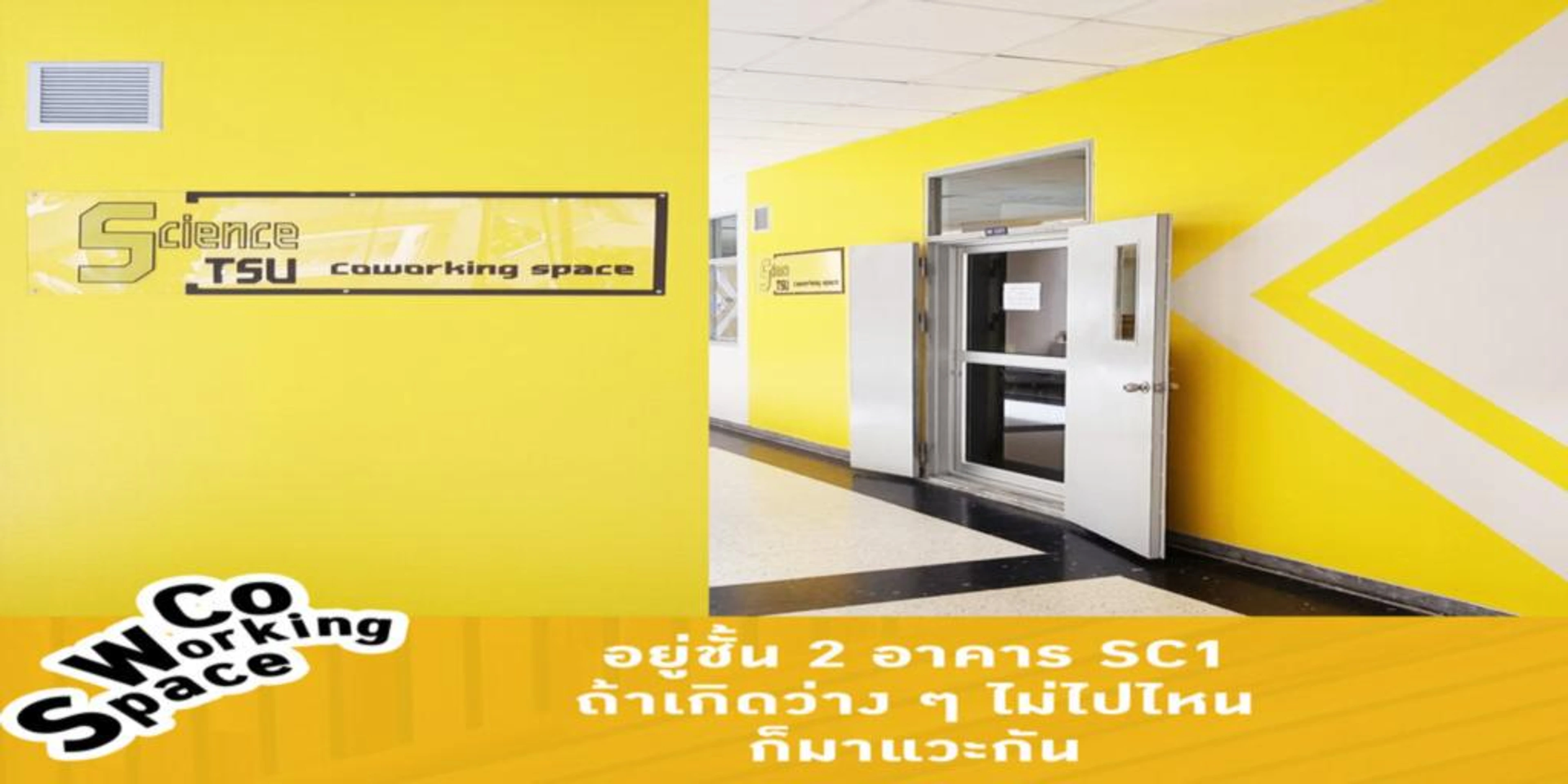 CO WORKING SPACE TSU