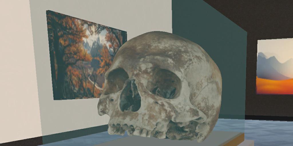 Seb's Skull and Picture Gallery