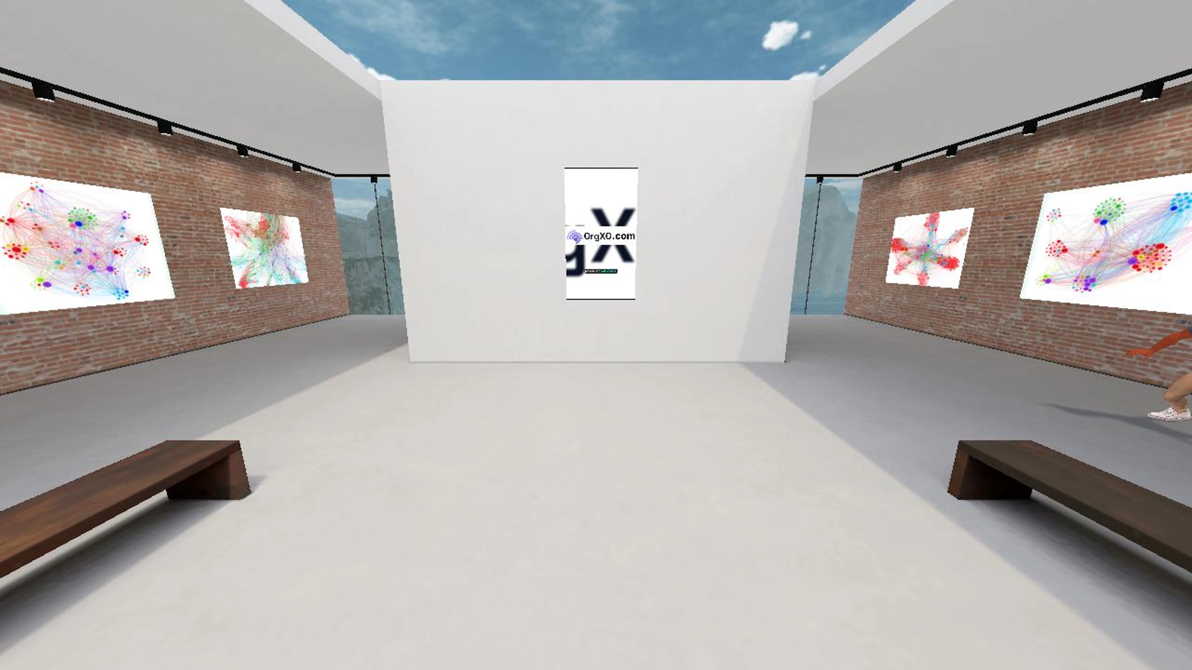 OrgXO Gallery