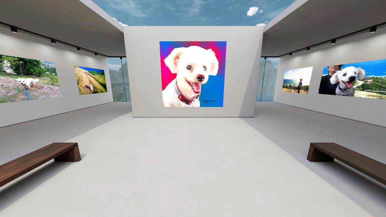 Welcome To Nanook Virtual Gallery