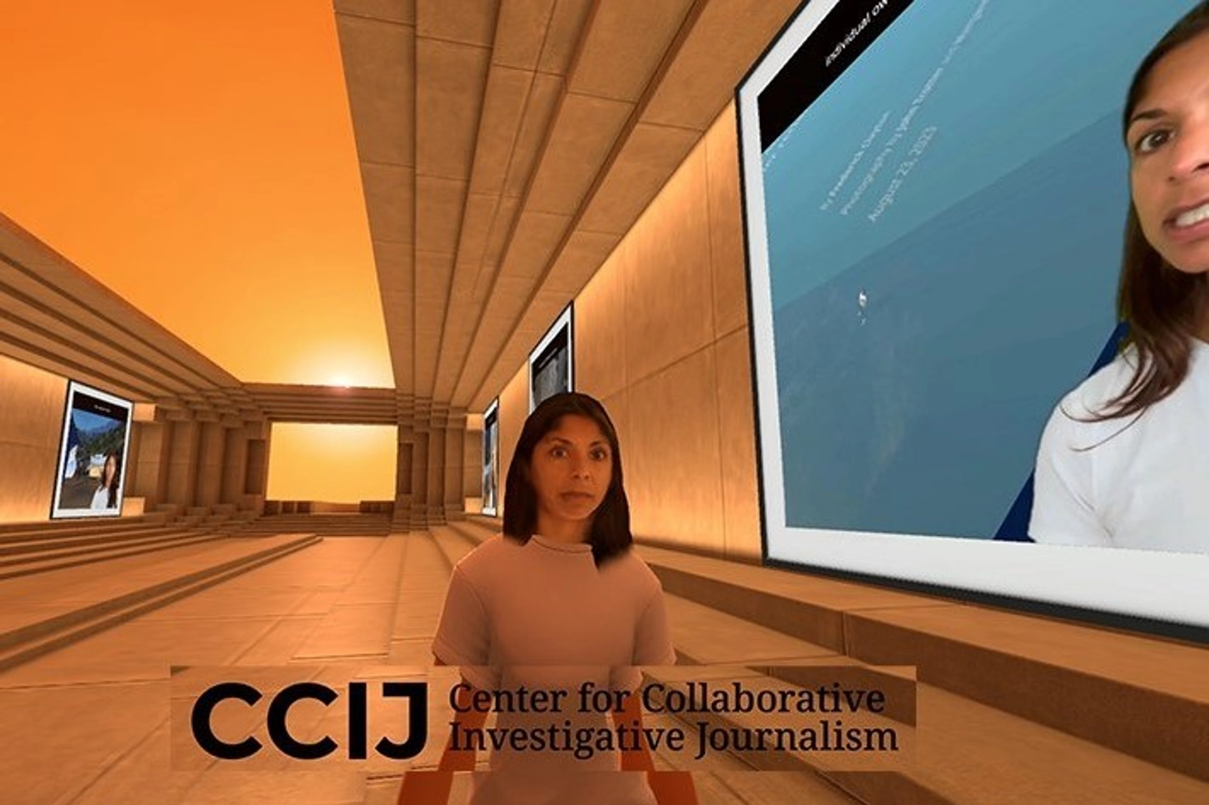 The CCIJ Hub