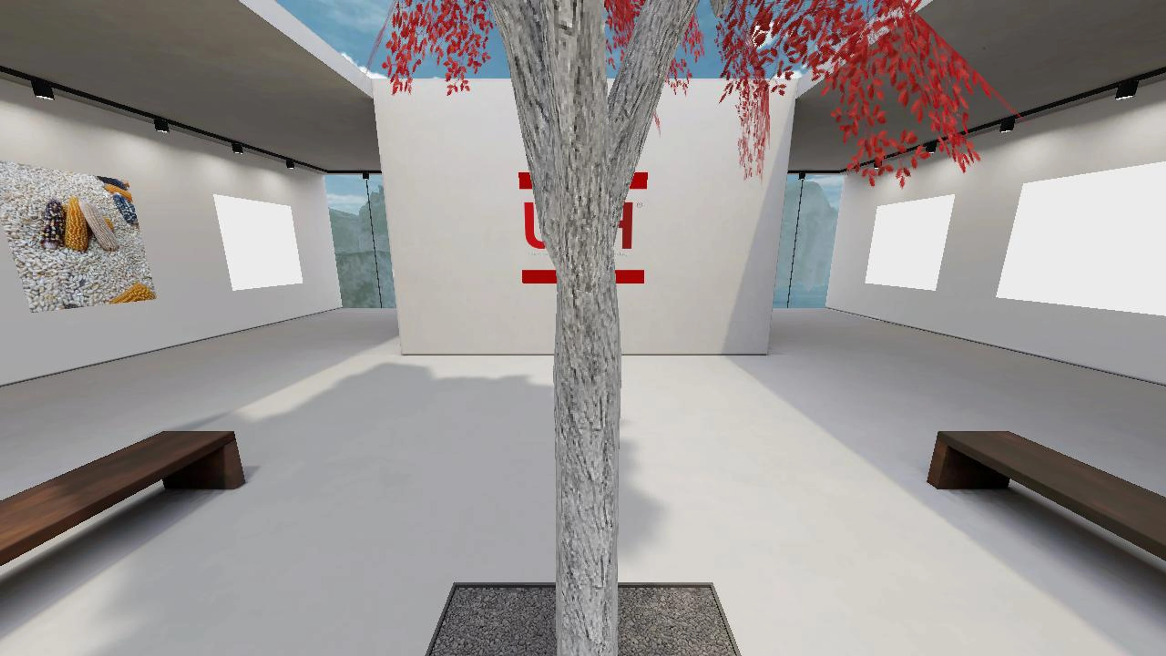 Museo del maíz natvo en la Region Otomi - Tepehua