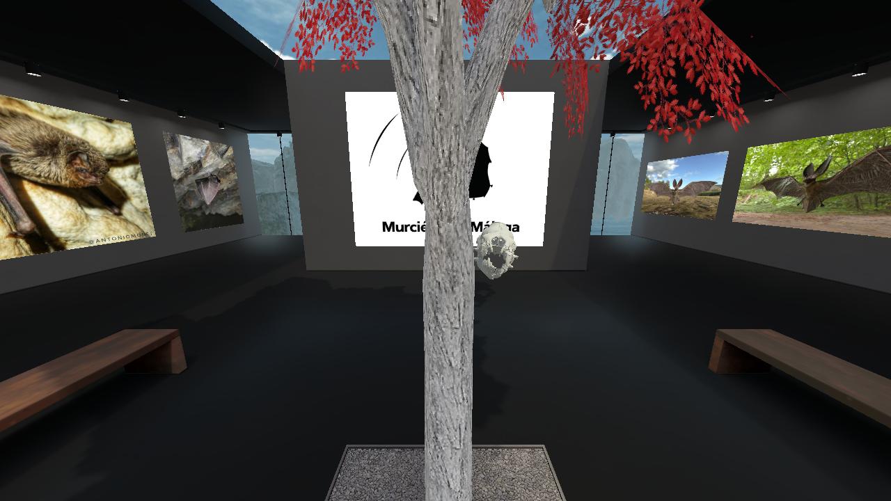 Museo Virtual de Murciélagos Málaga