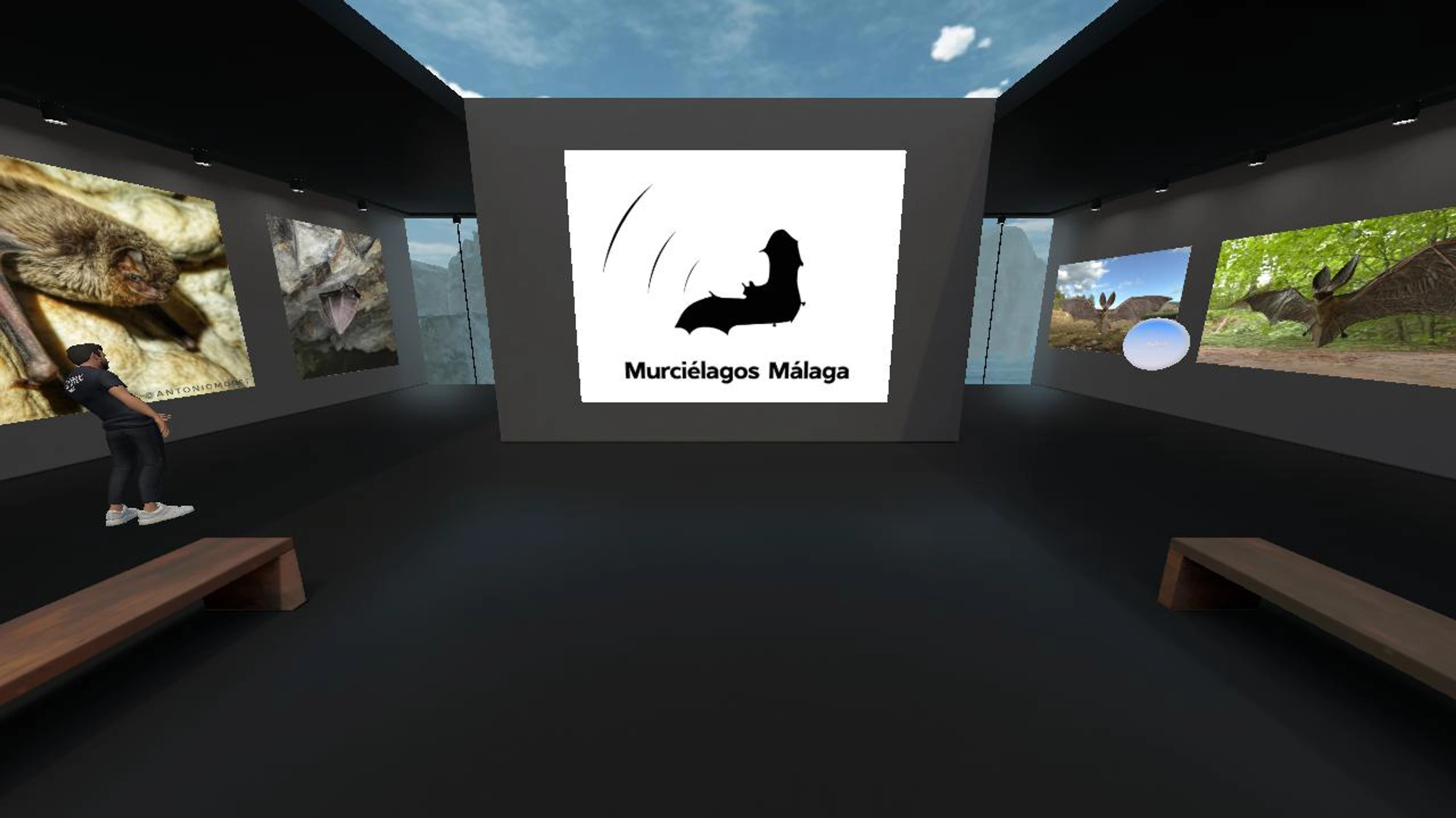 Museo Virtual de Murciélagos Málaga