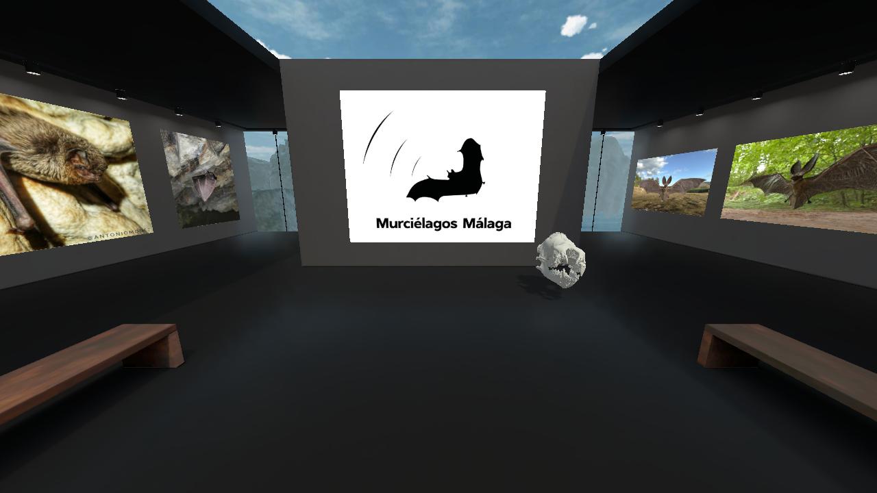 Museo Virtual de Murciélagos Málaga