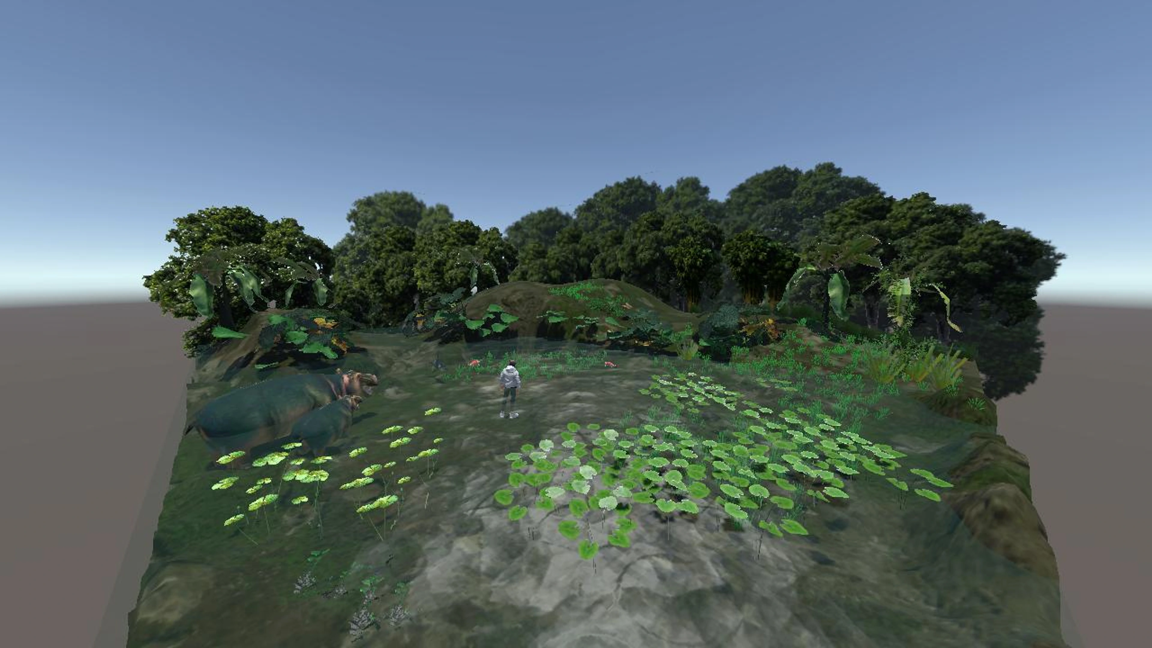 wetlands1109A