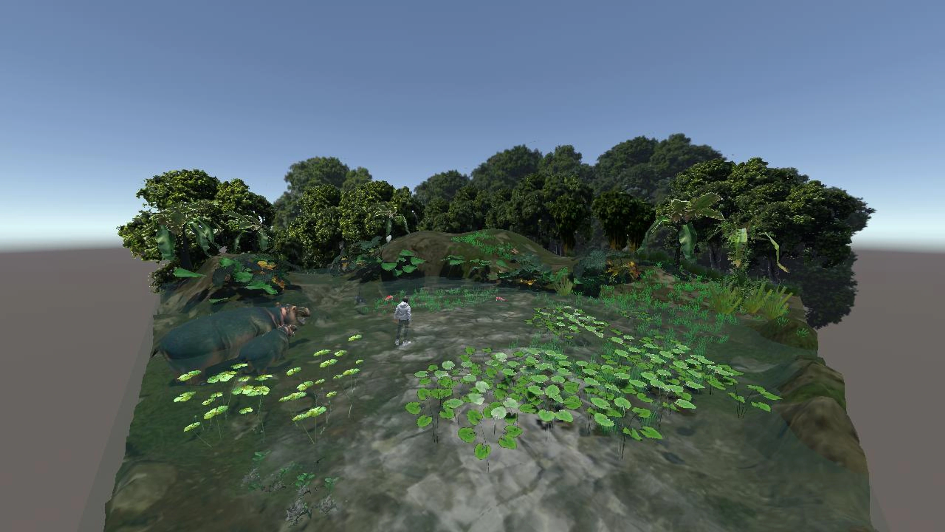 wetlands1109A