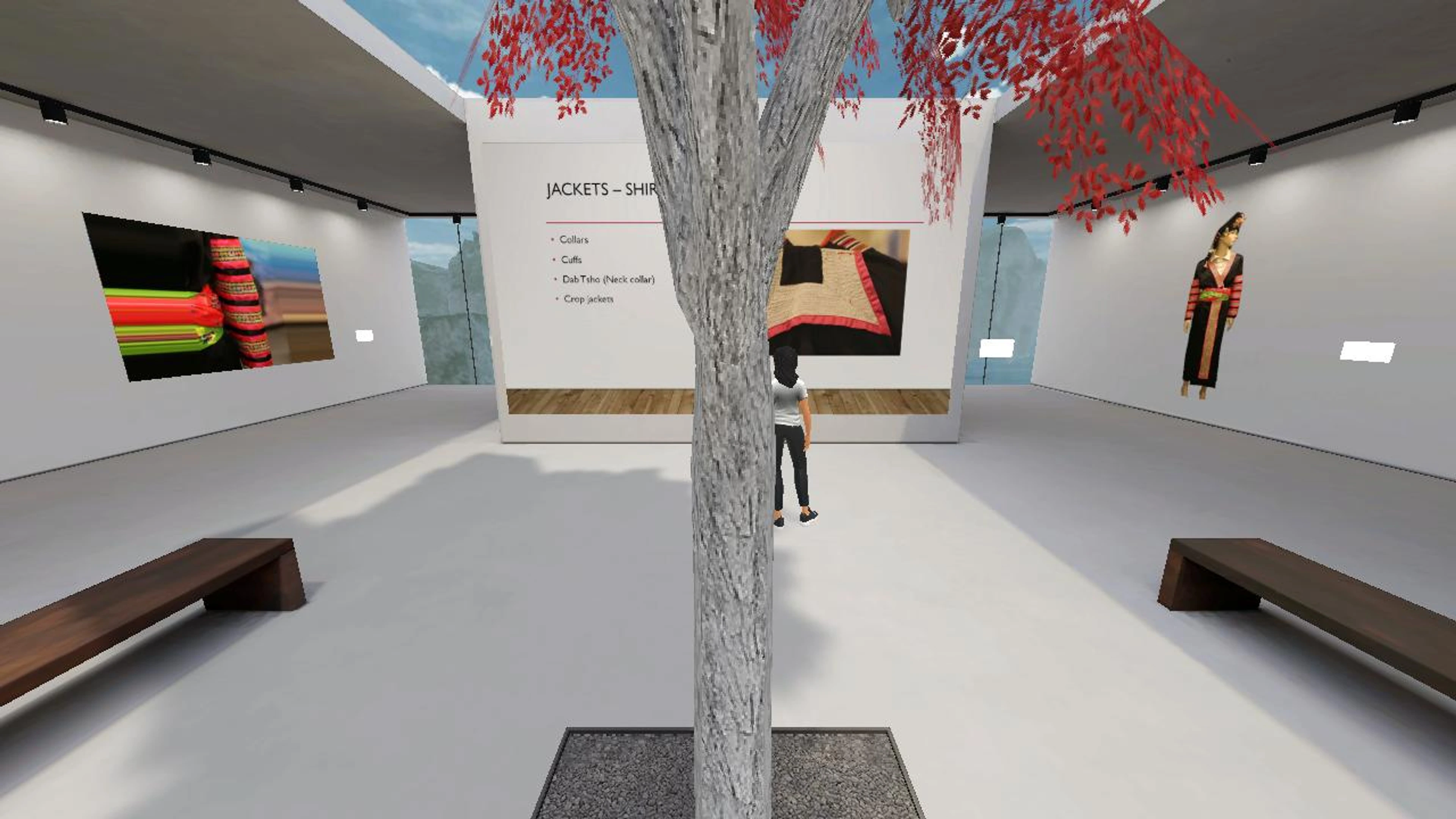 A Virtual Exhibit on Traditional Hmong Attire