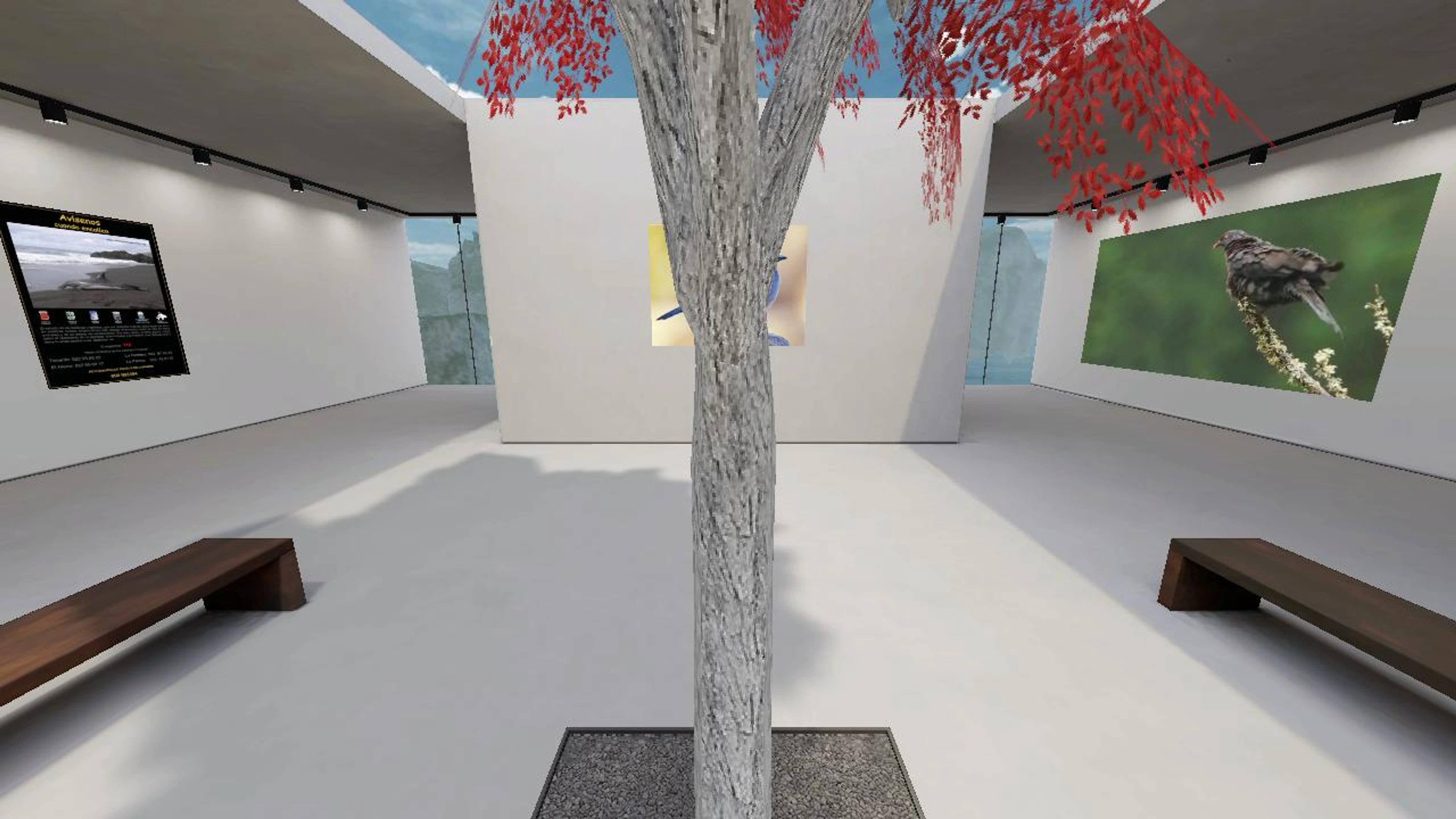 Teca_Tenerife's 3D Scene