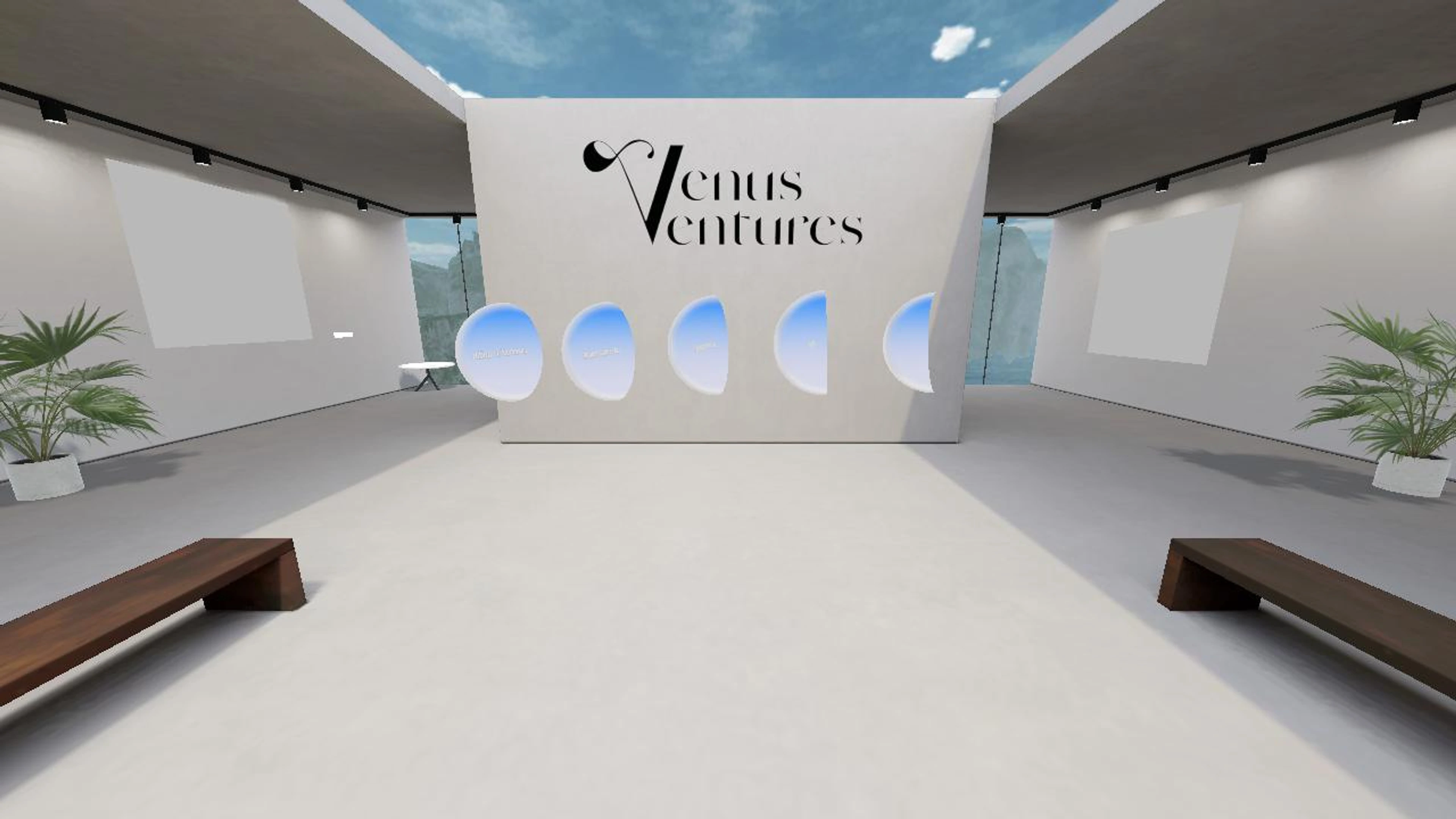 Venusventures Metaverse Ecosystem - Main Arena