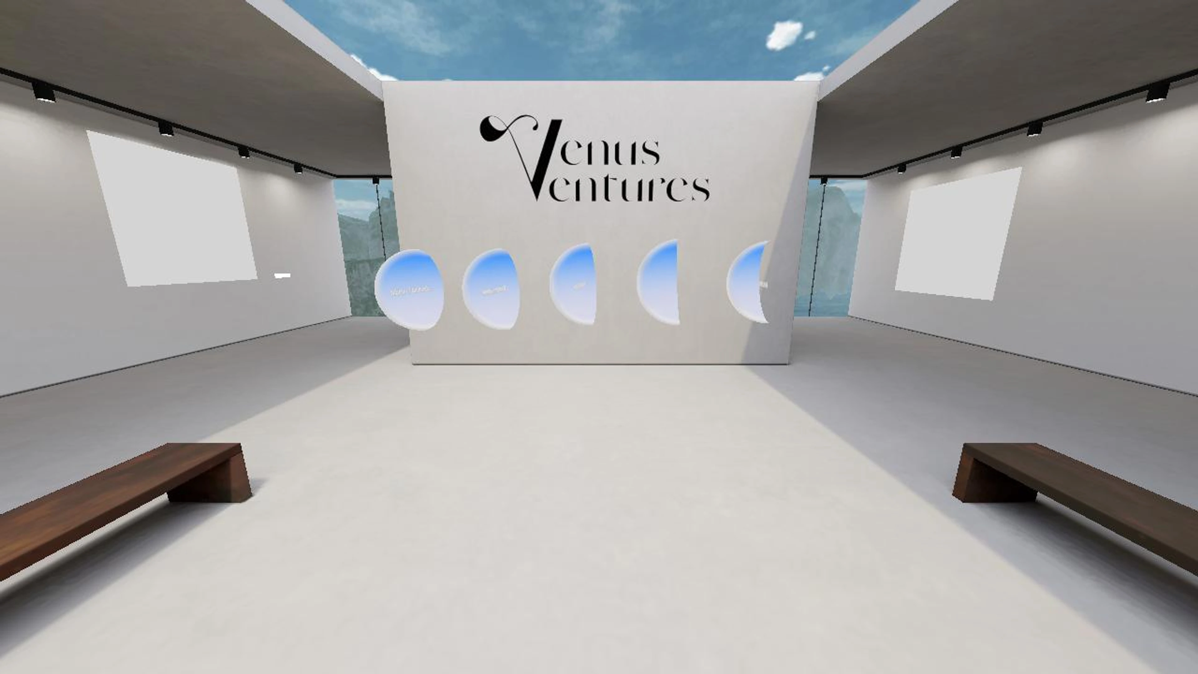 Venusventures Metaverse Ecosystem - Main Arena