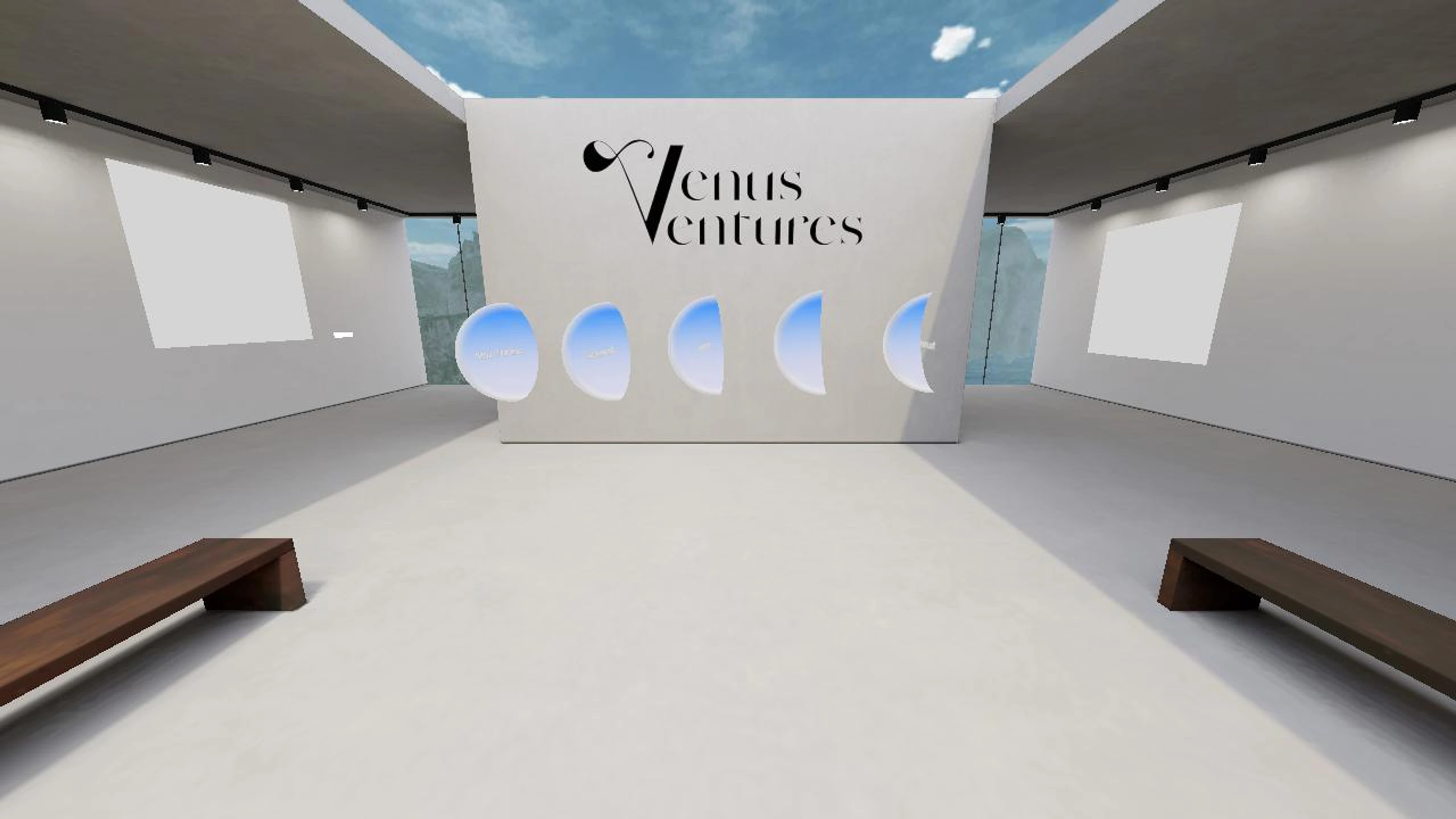 Venusventures Metaverse Ecosystem - Main Arena