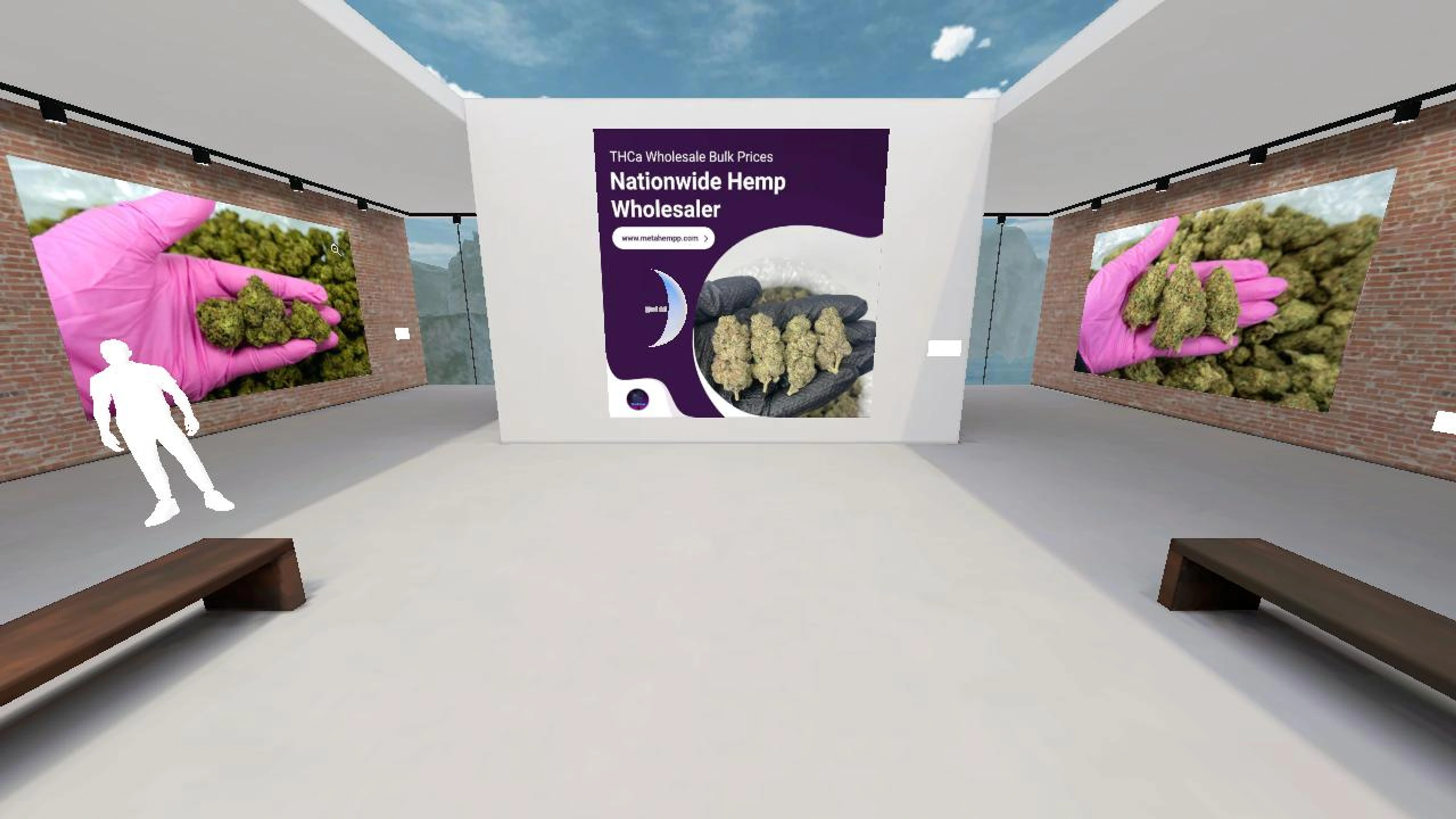 MetaHempp's Virtual Showroom