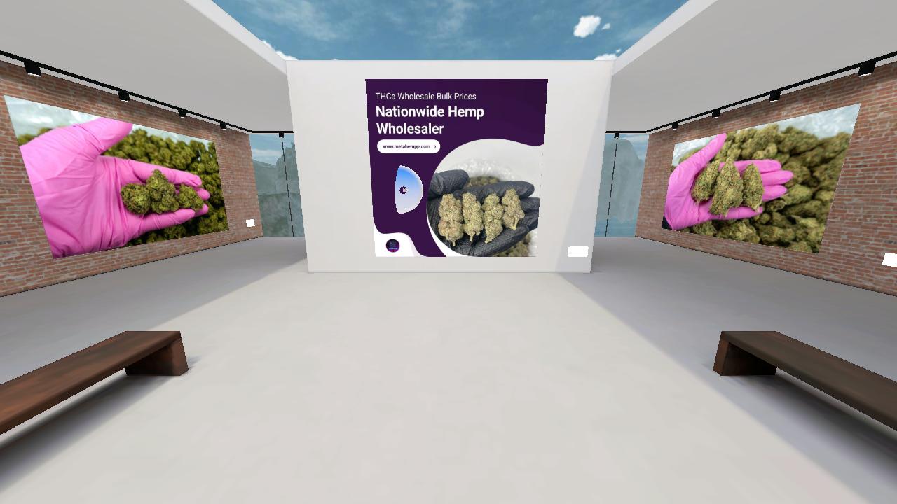 MetaHempp's Virtual Showroom #1