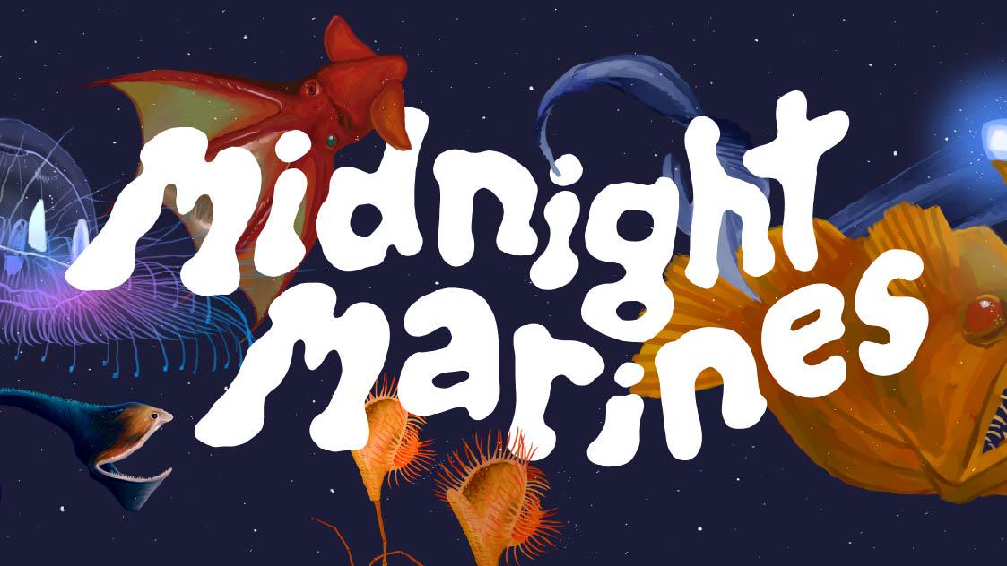 Midnight Marine: The Deep Sea Aquarium