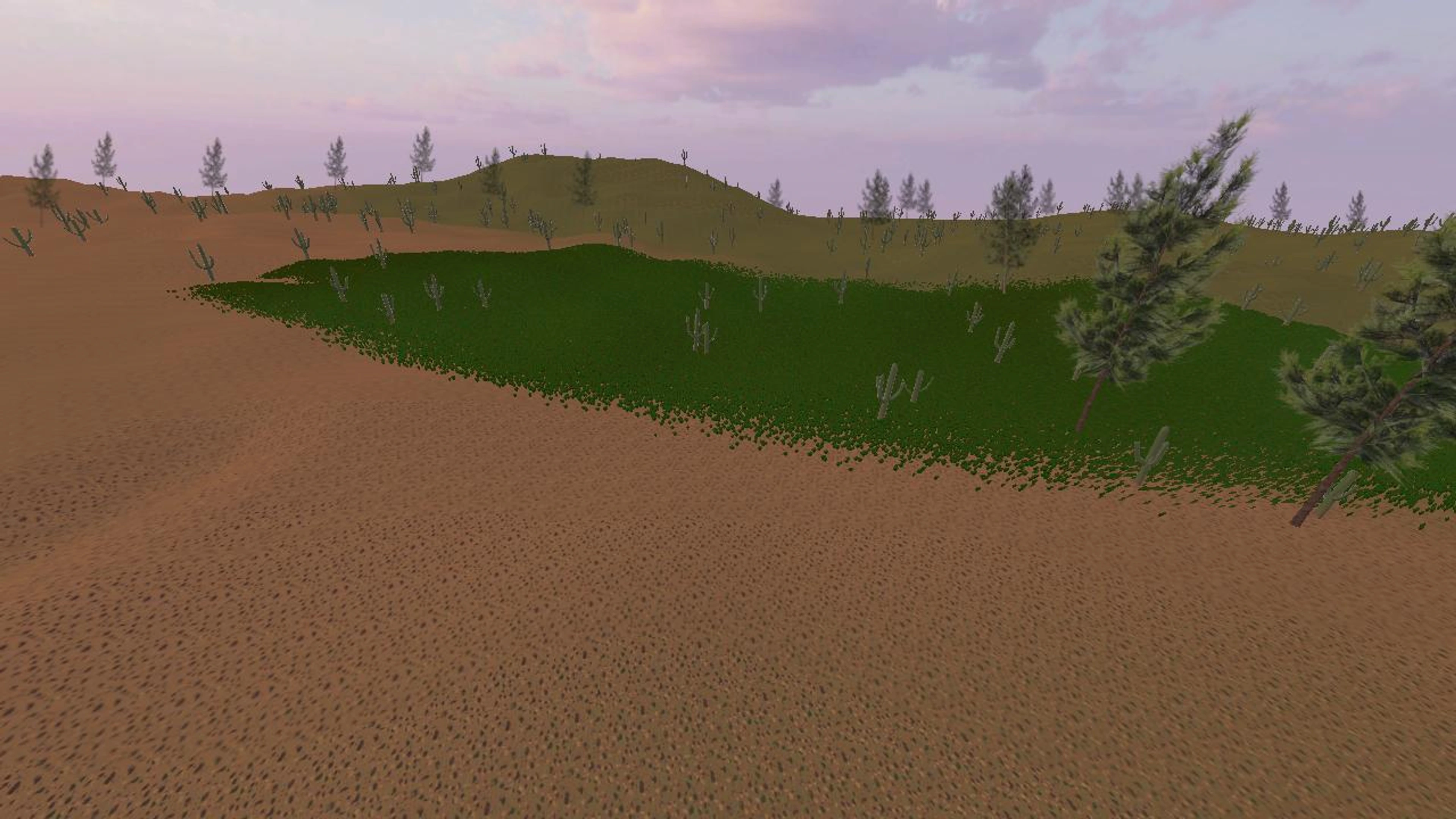 Rammy's Desert Oasis