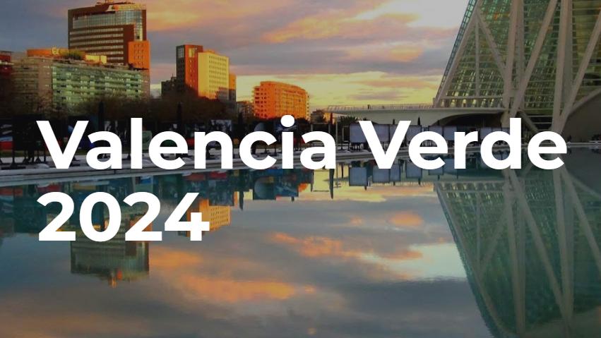 Valencia Verde: Viaggio Virtuale dell'Erasmus 2024
