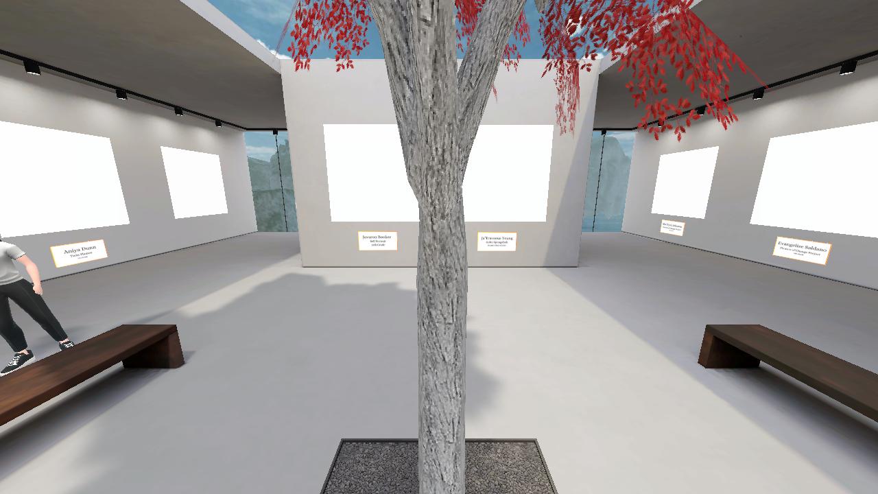 Belaire High Gallery