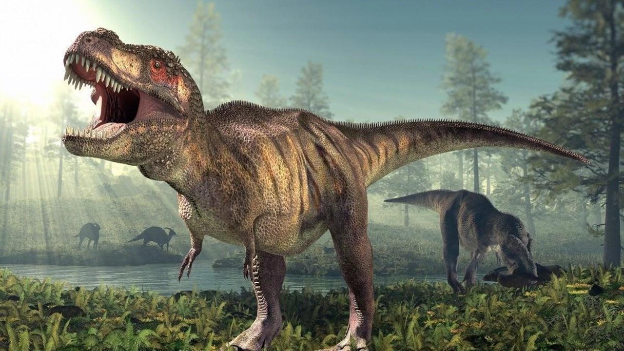 DinoRealmVR