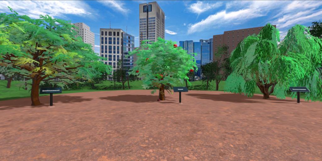 Sia Partners - NFT Trees Case Study