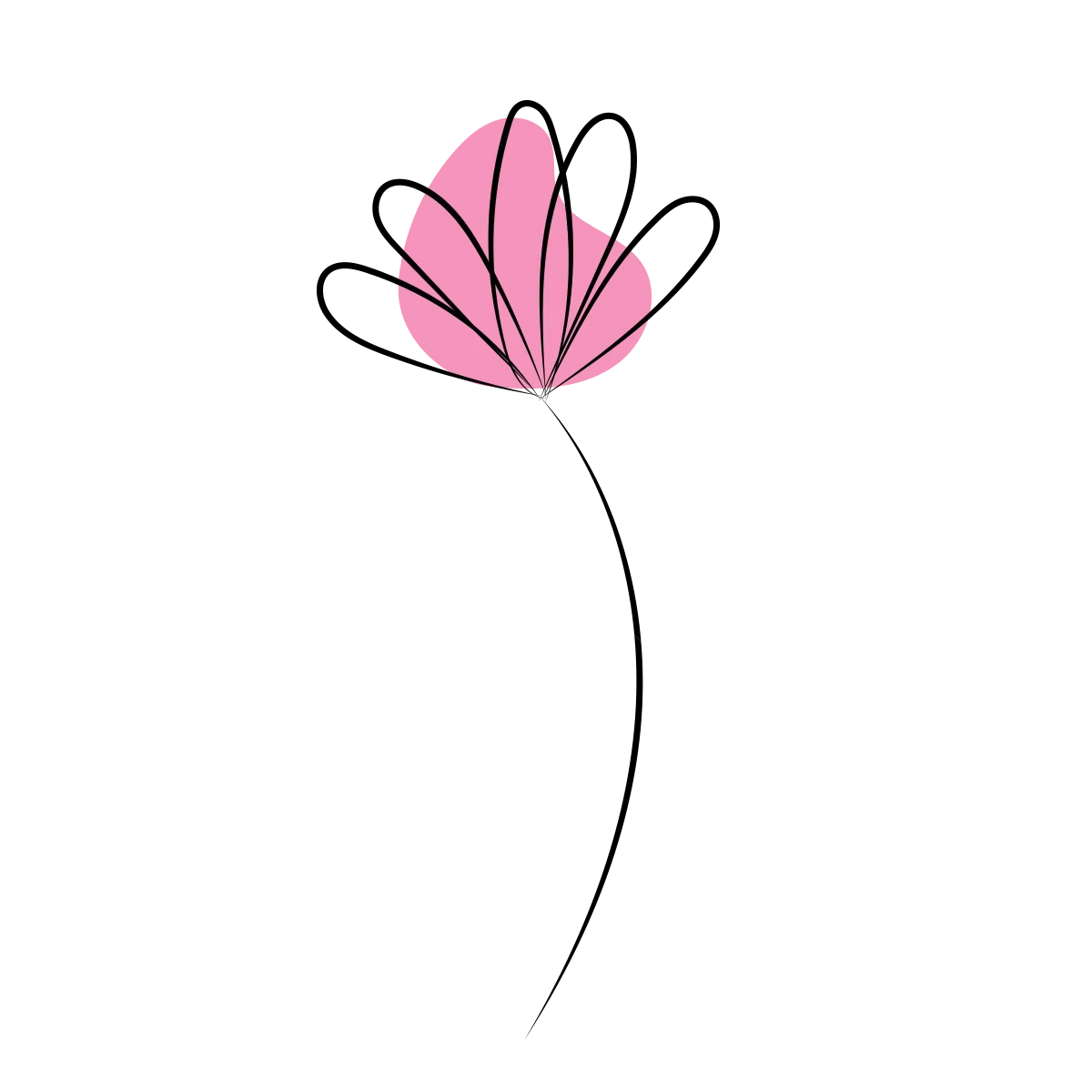 The meaning of flowers