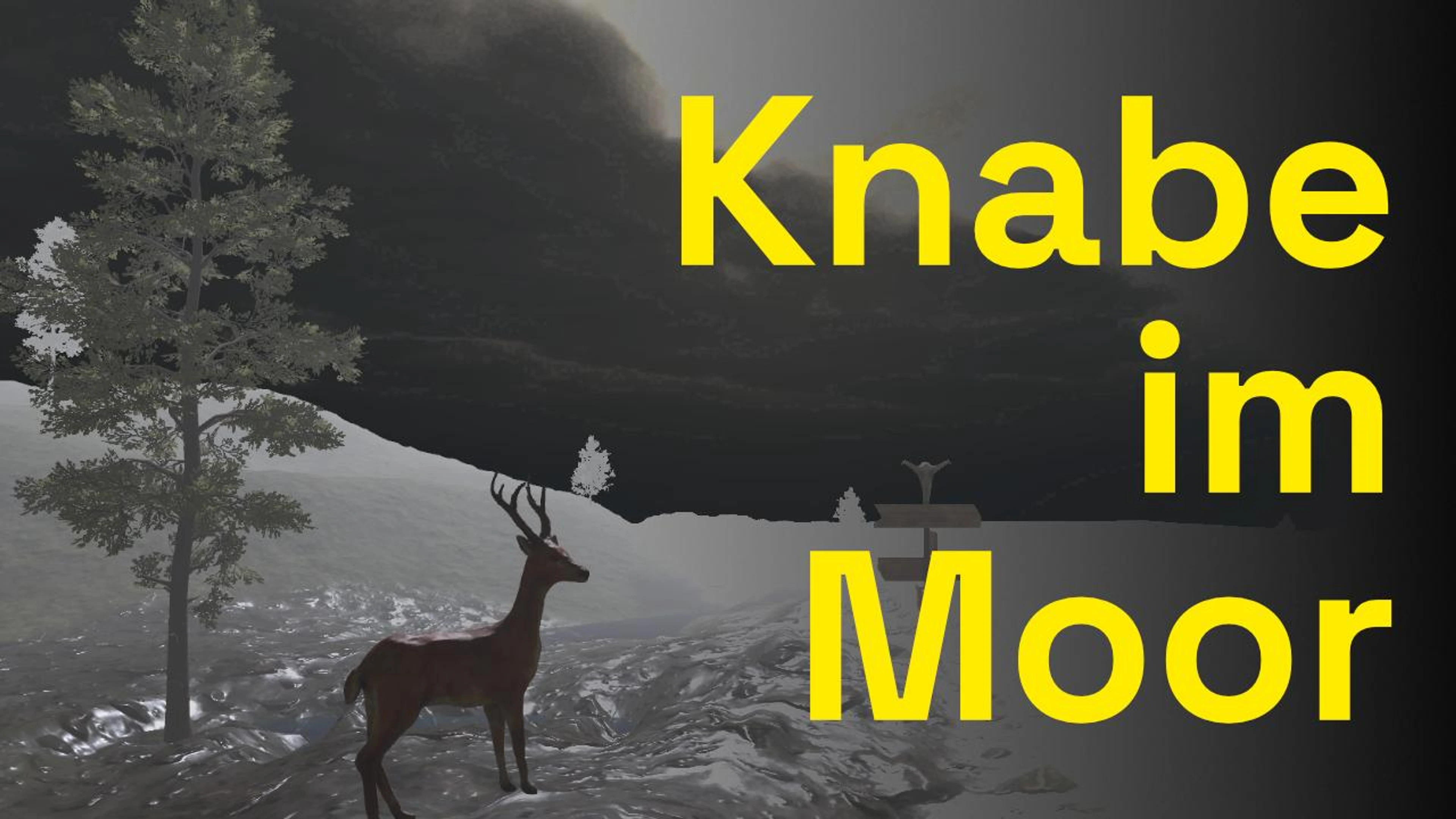 Knabe im Moor