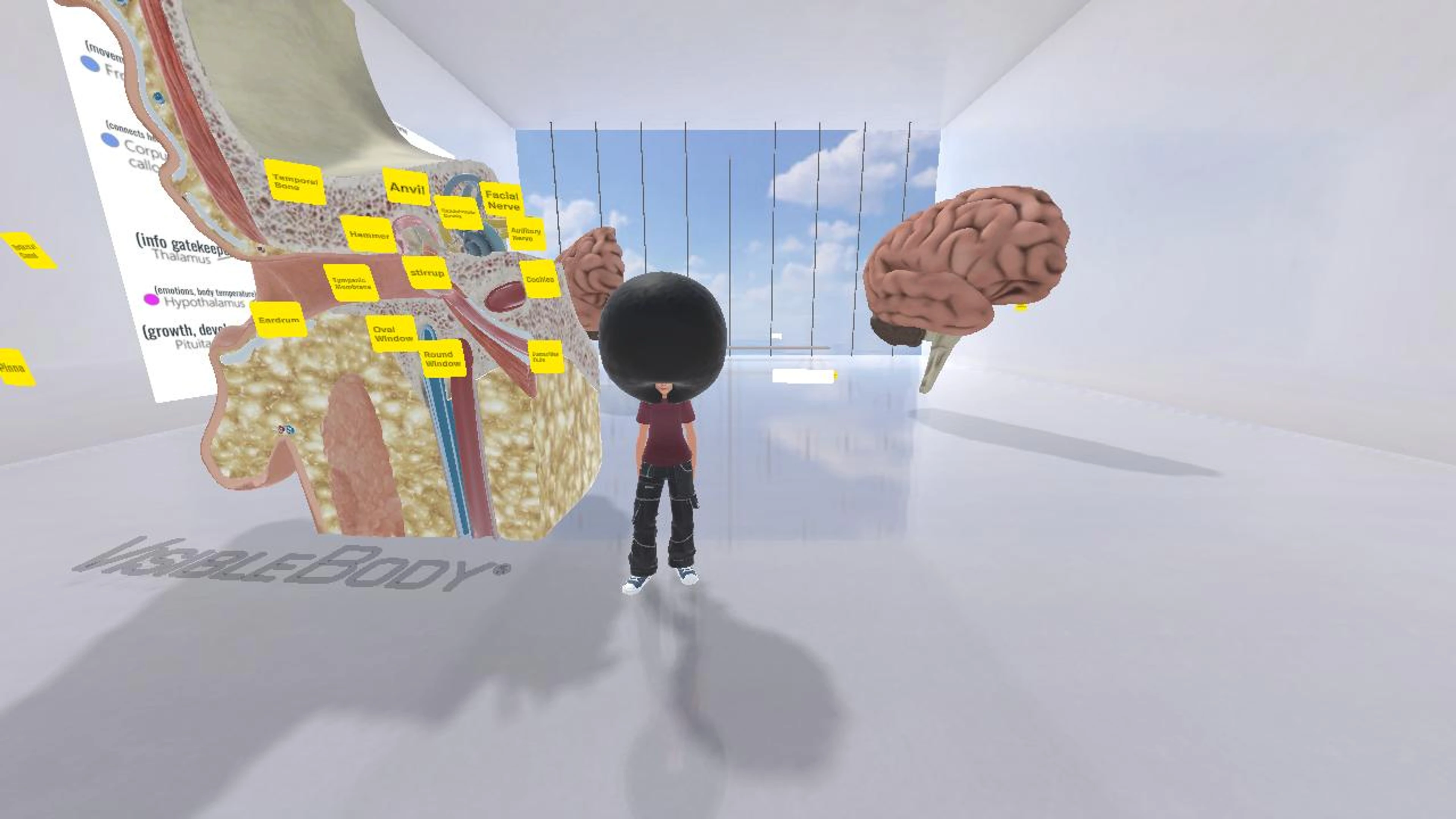 Salon Spatial- Gallery Walk