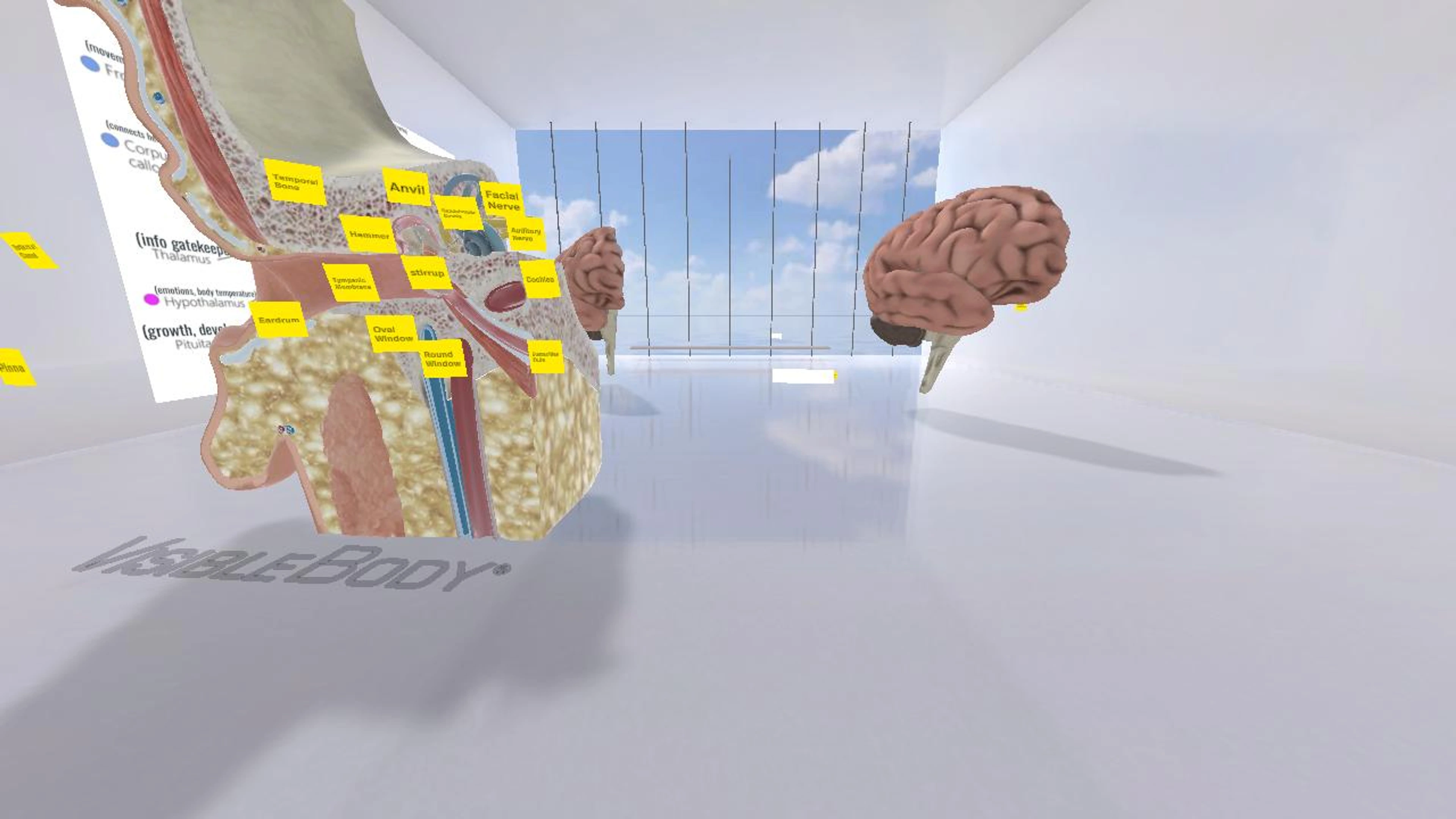 Salon Spatial- Gallery Walk