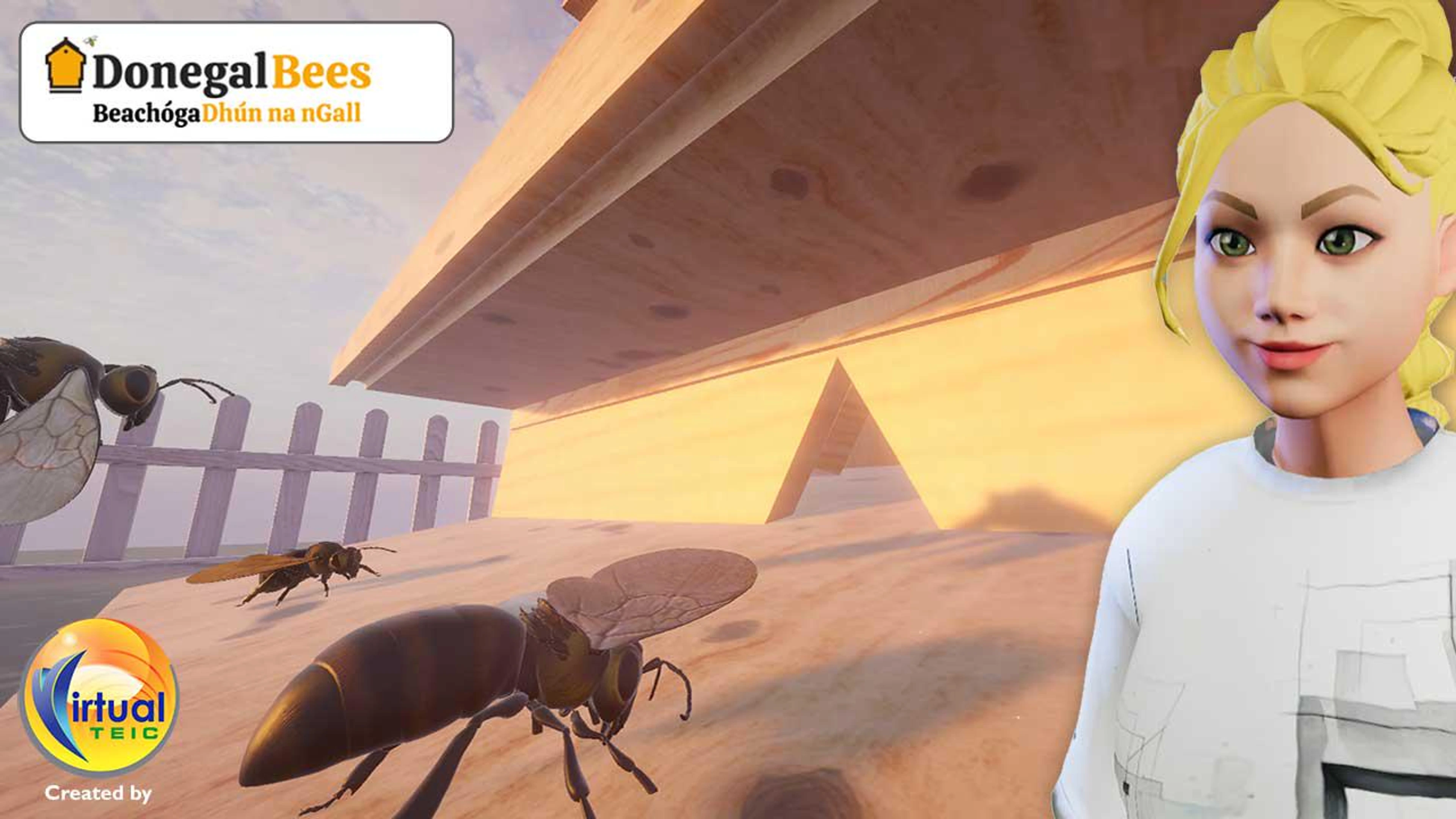 Donegal Bee Hive