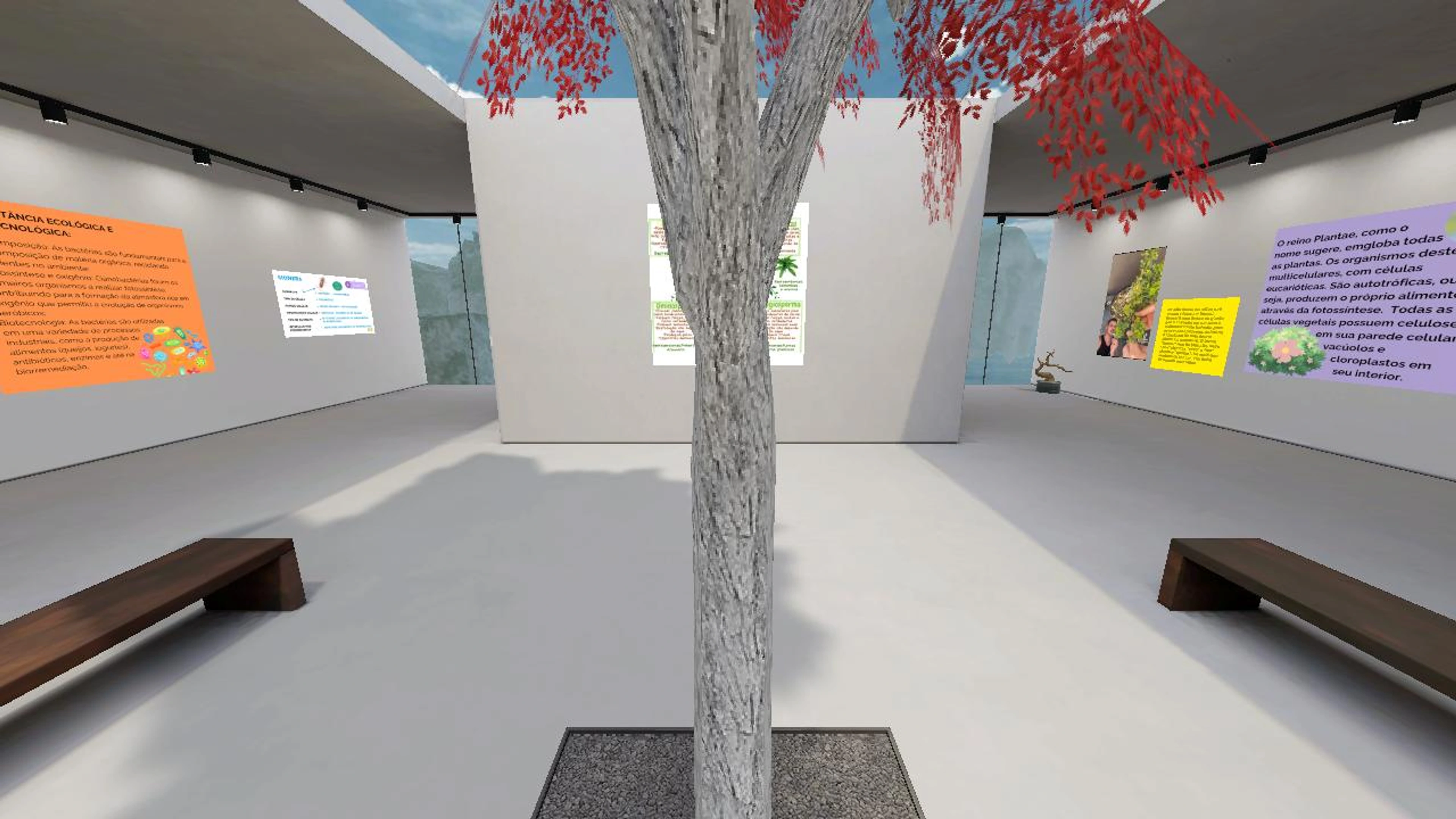 Sala de aula virtual- Os 5 reinos dos seres vivos