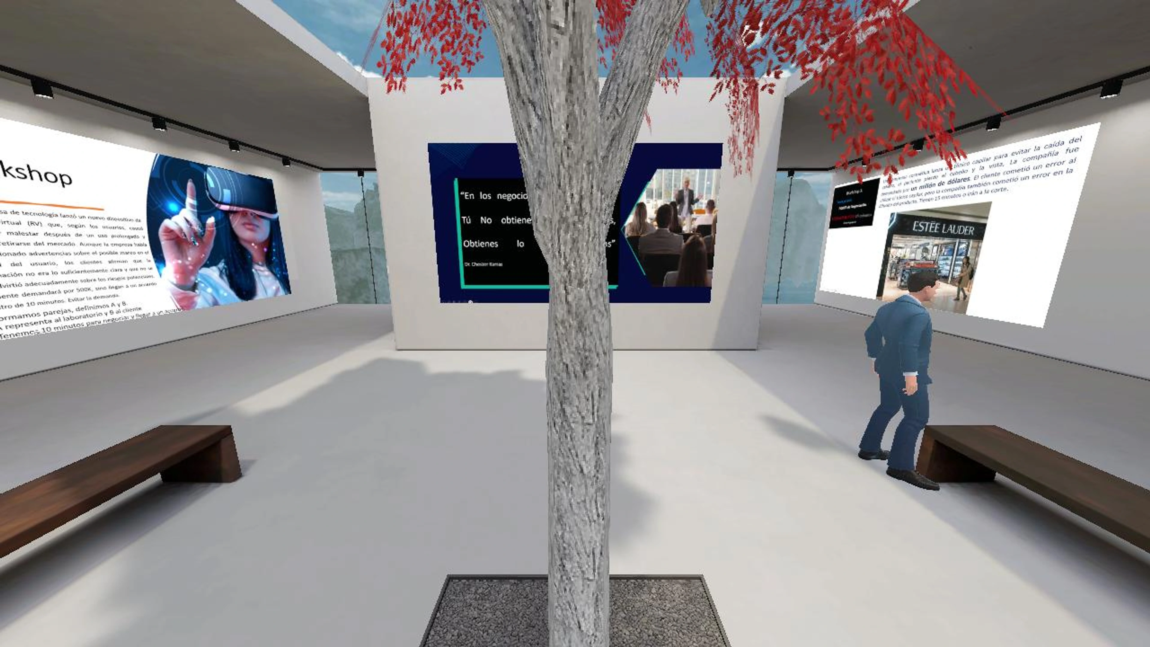 Negociación Efectiva's 3D Area