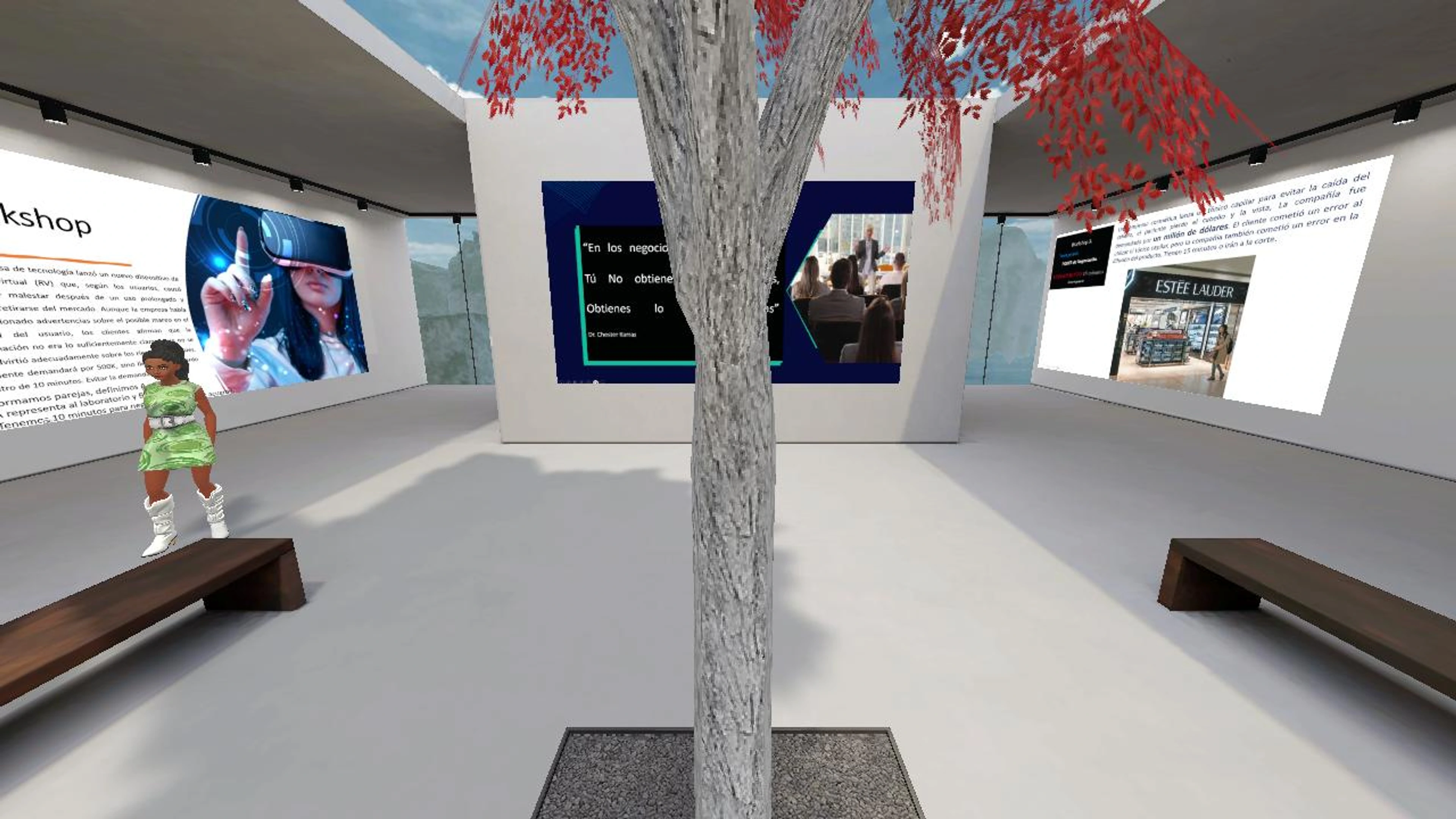 Negociación Efectiva's 3D Area