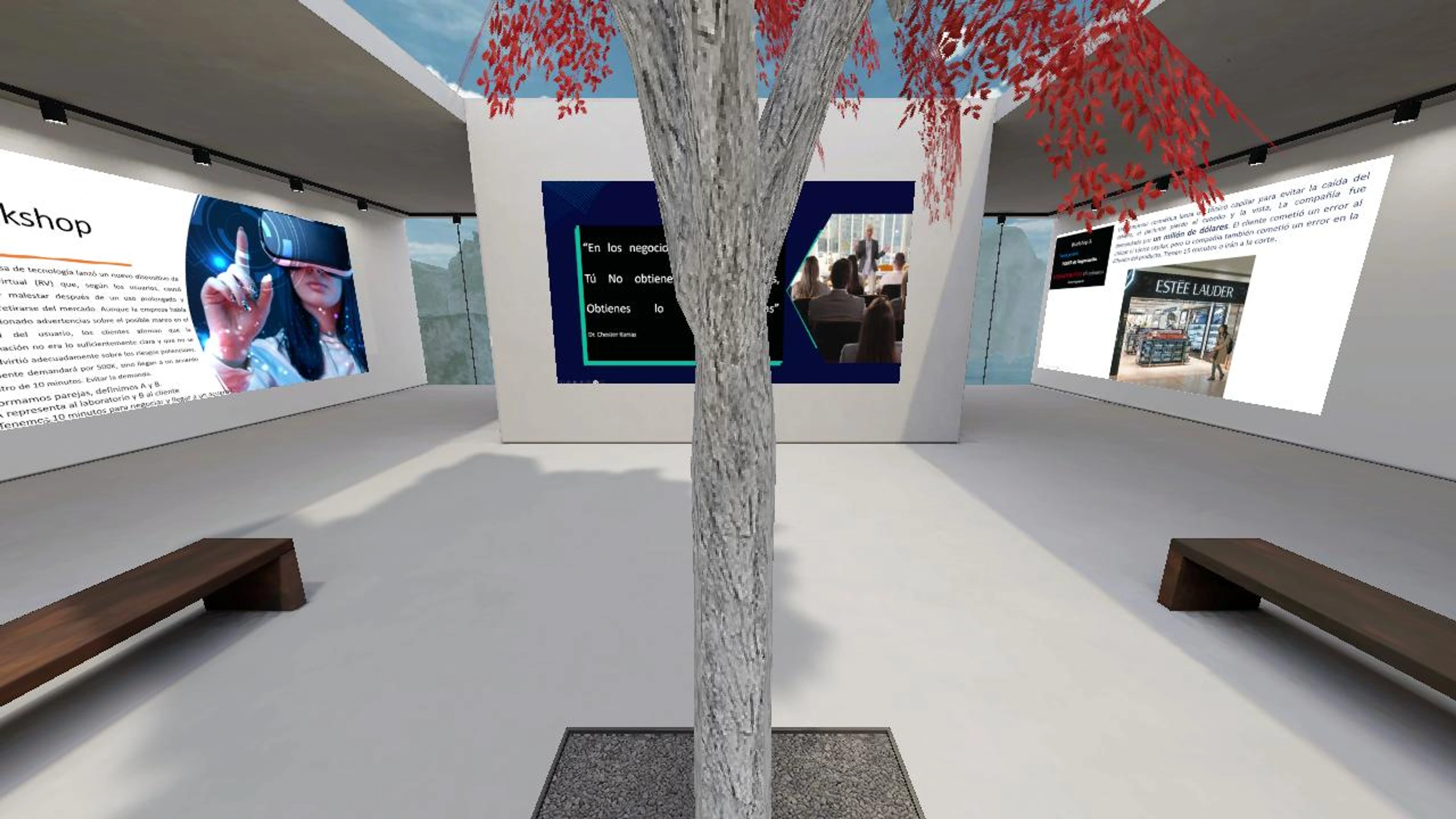 Negociación Efectiva's 3D Area