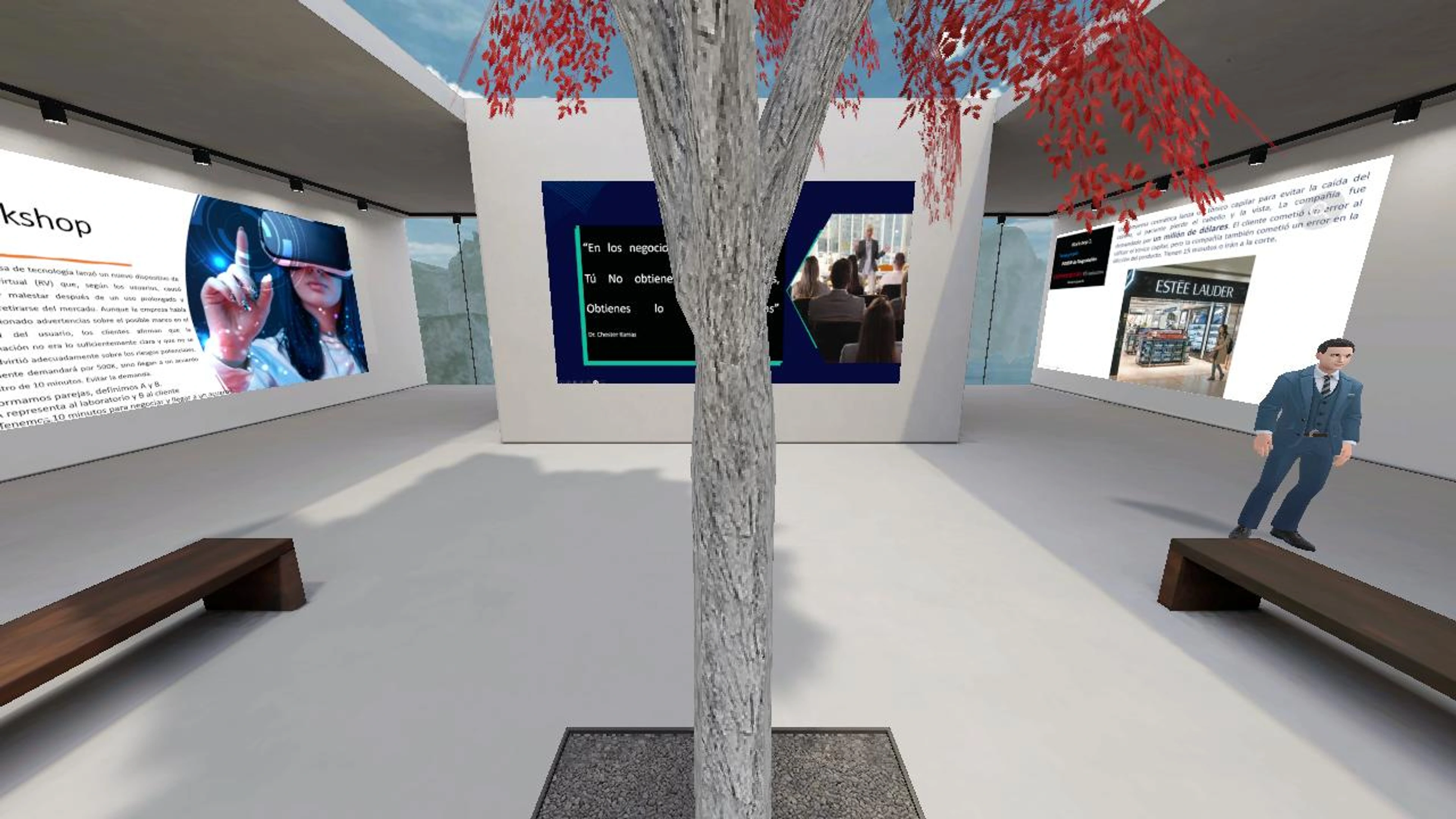 Negociación Efectiva's 3D Area