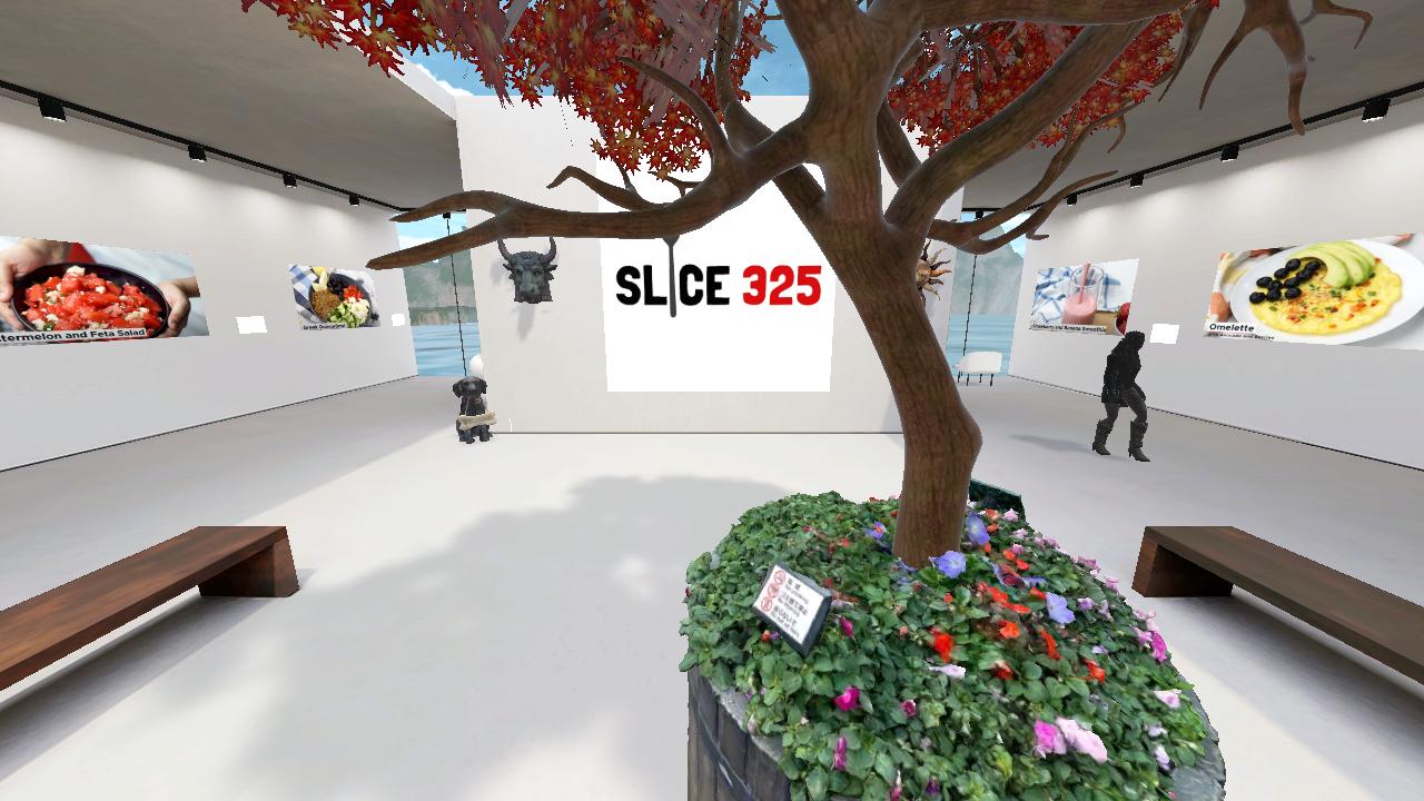 SLICE 325's 3D Hangout