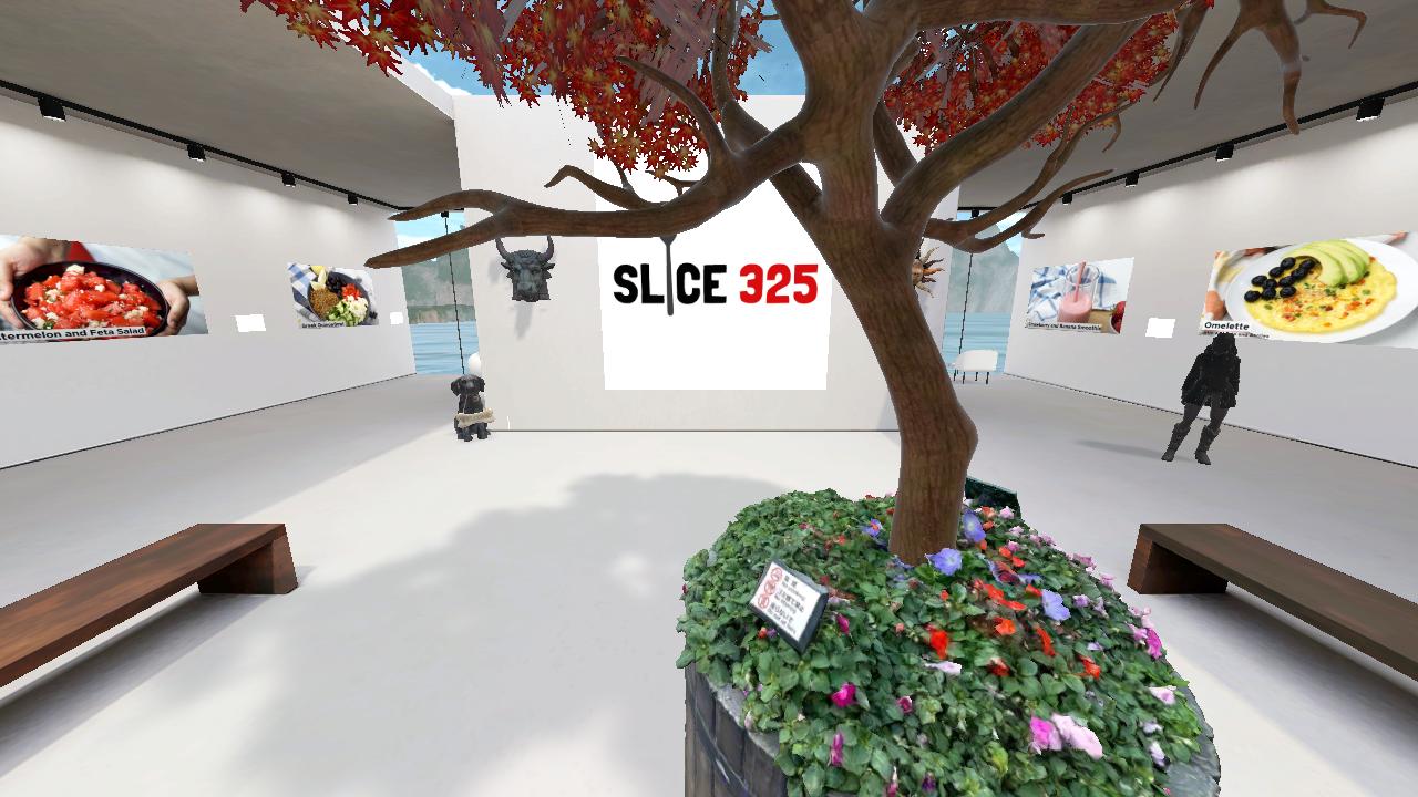 SLICE 325's 3D Hangout