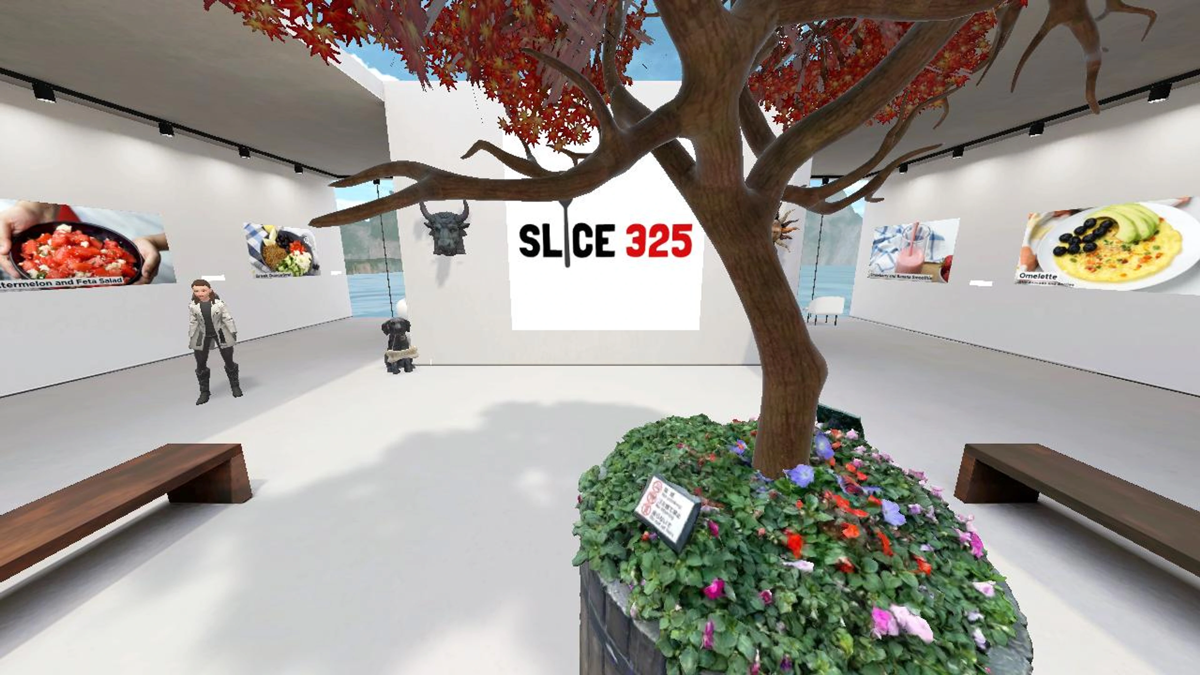 SLICE 325's 3D Hangout